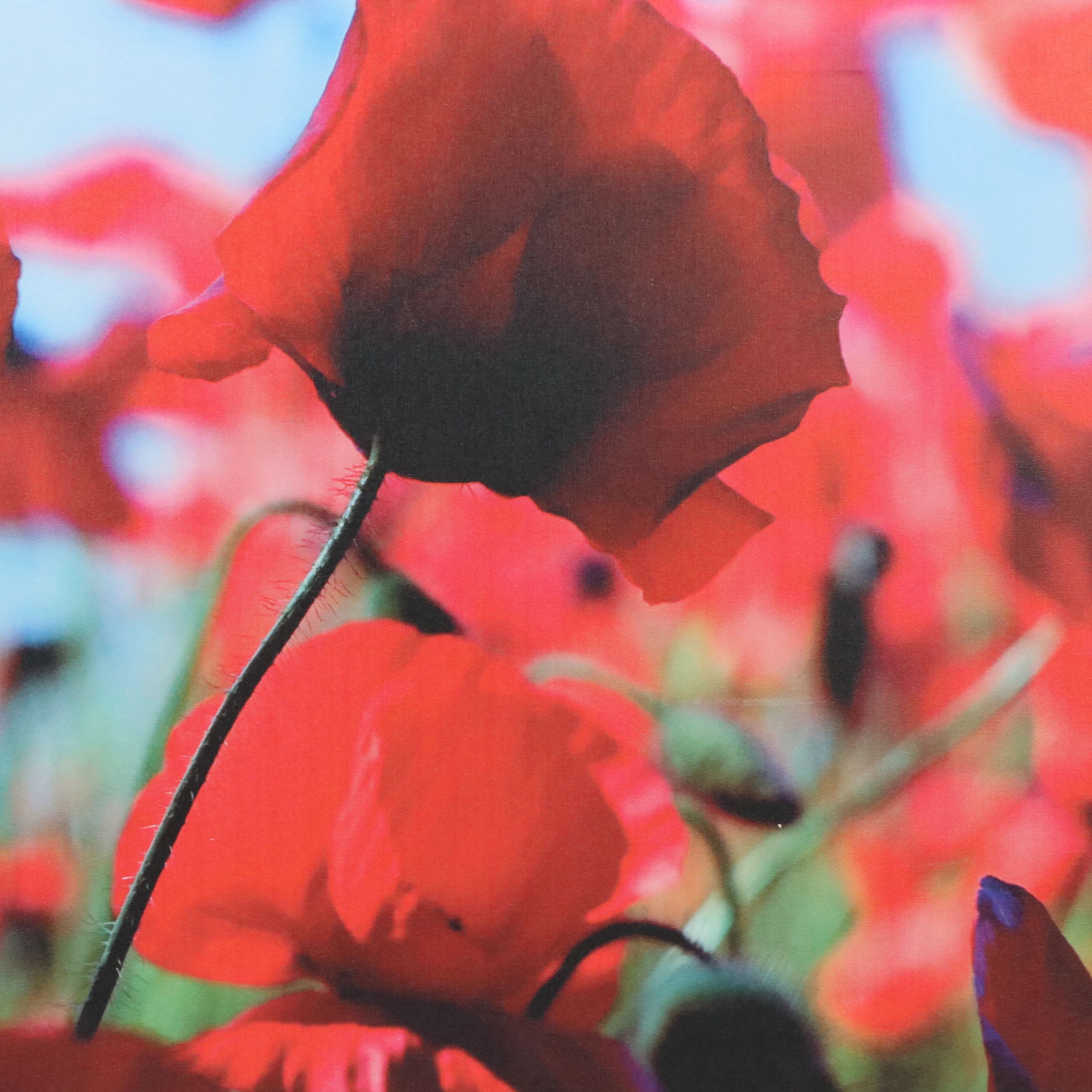 After Bjorn Wennerwald Gicleé on Canvas "Poppies," 21st Century