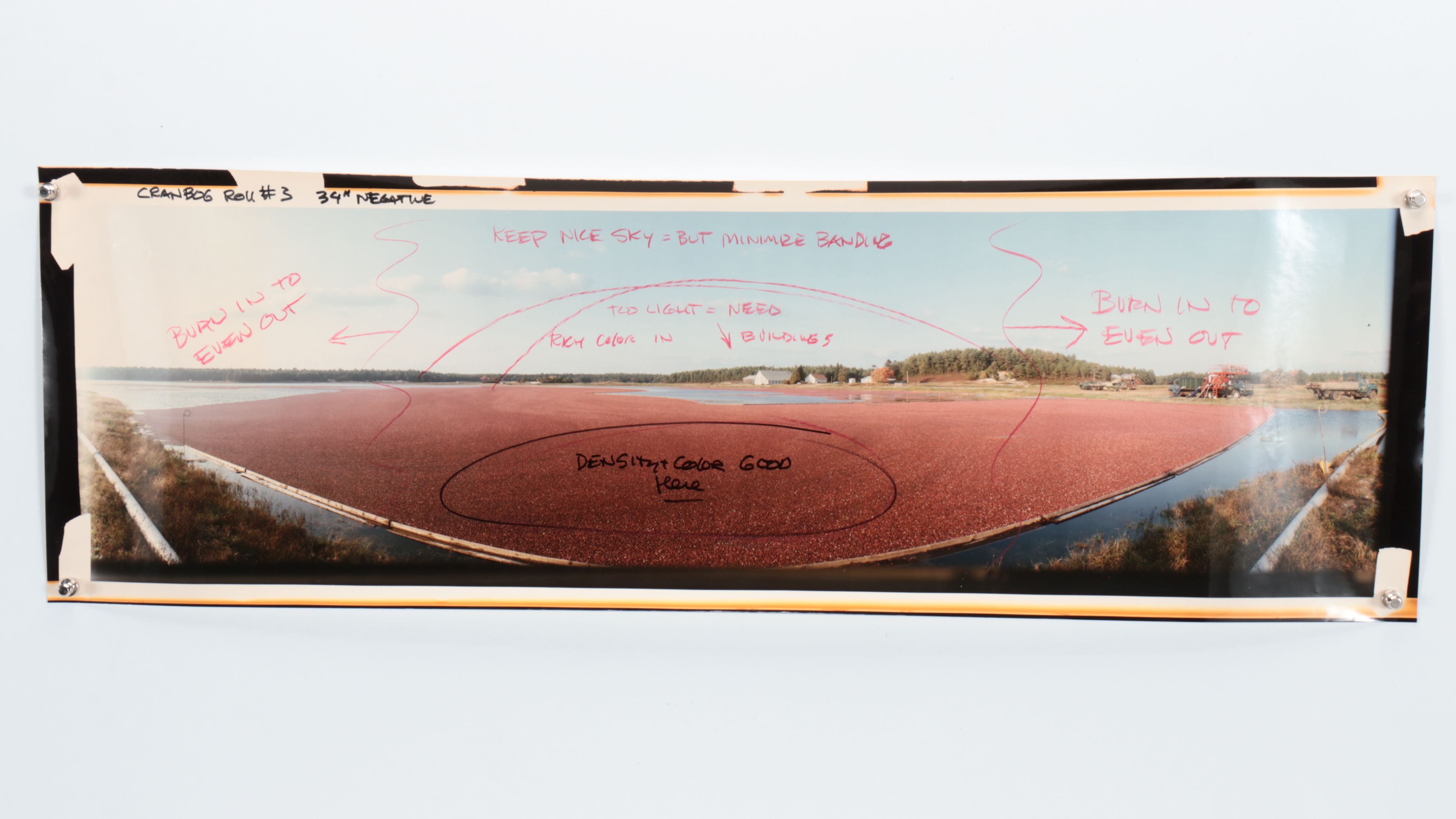 Panoramic Landscape Chromogenic Photographs and Negatives, 20th Century