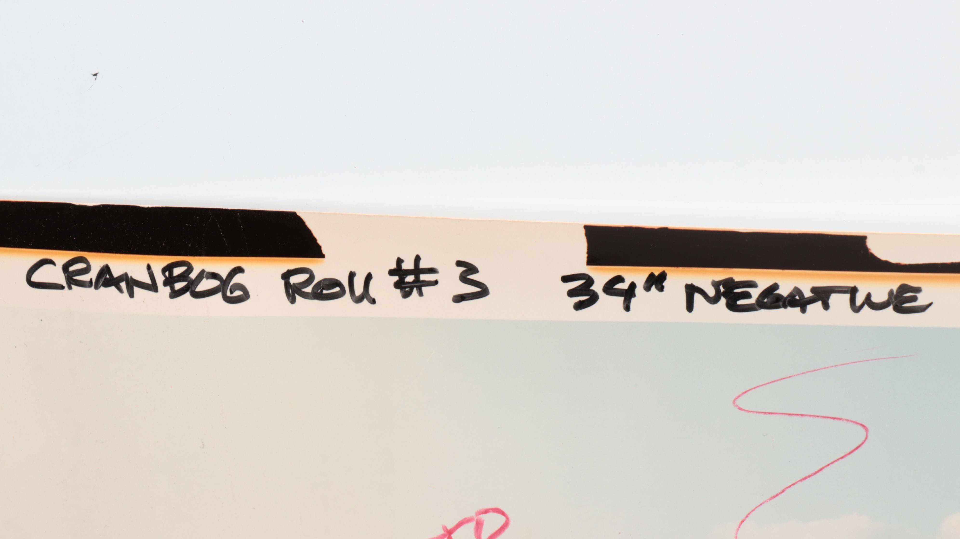 Panoramic Landscape Chromogenic Photographs and Negatives, 20th Century