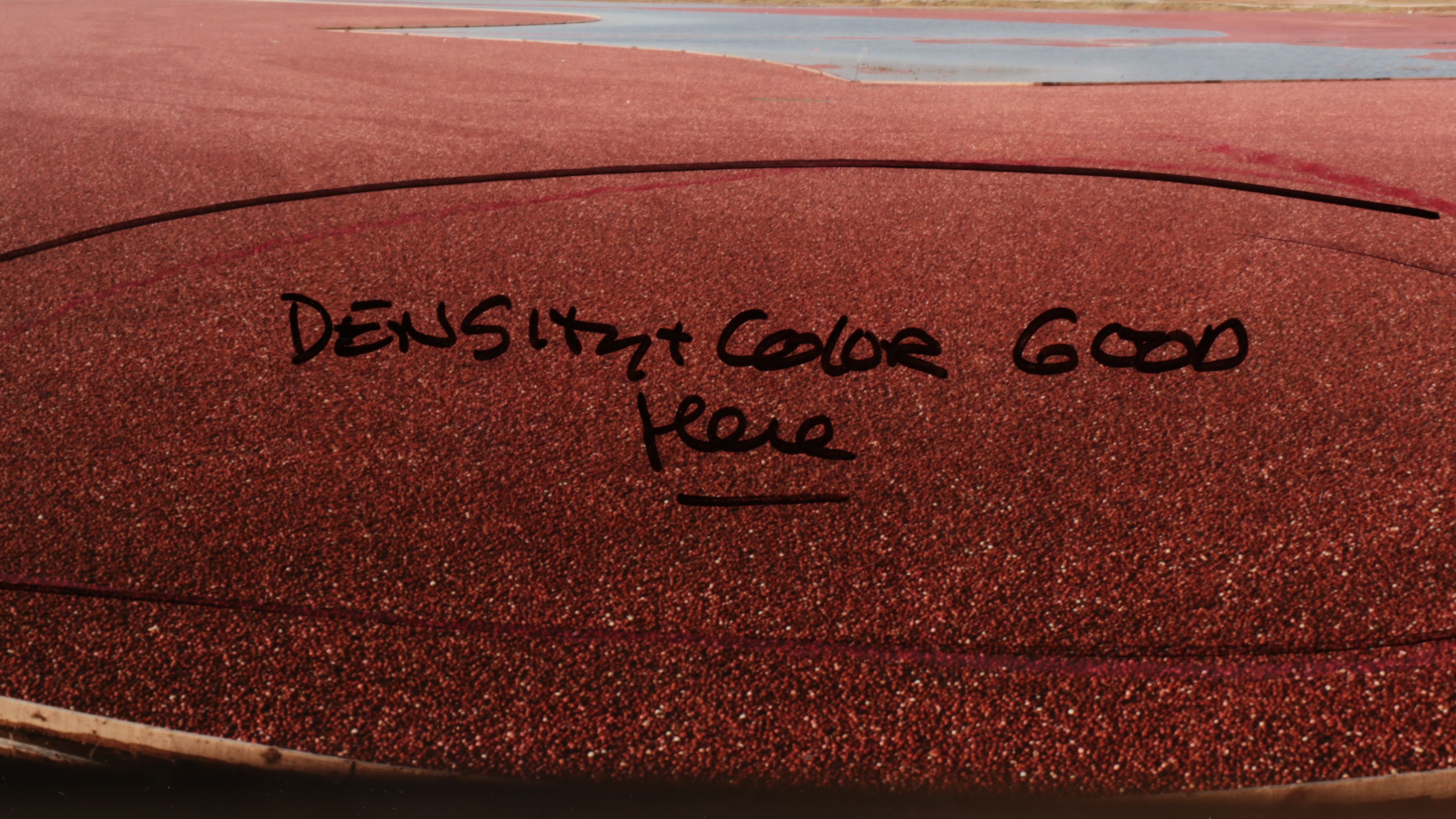 Panoramic Landscape Chromogenic Photographs and Negatives, 20th Century