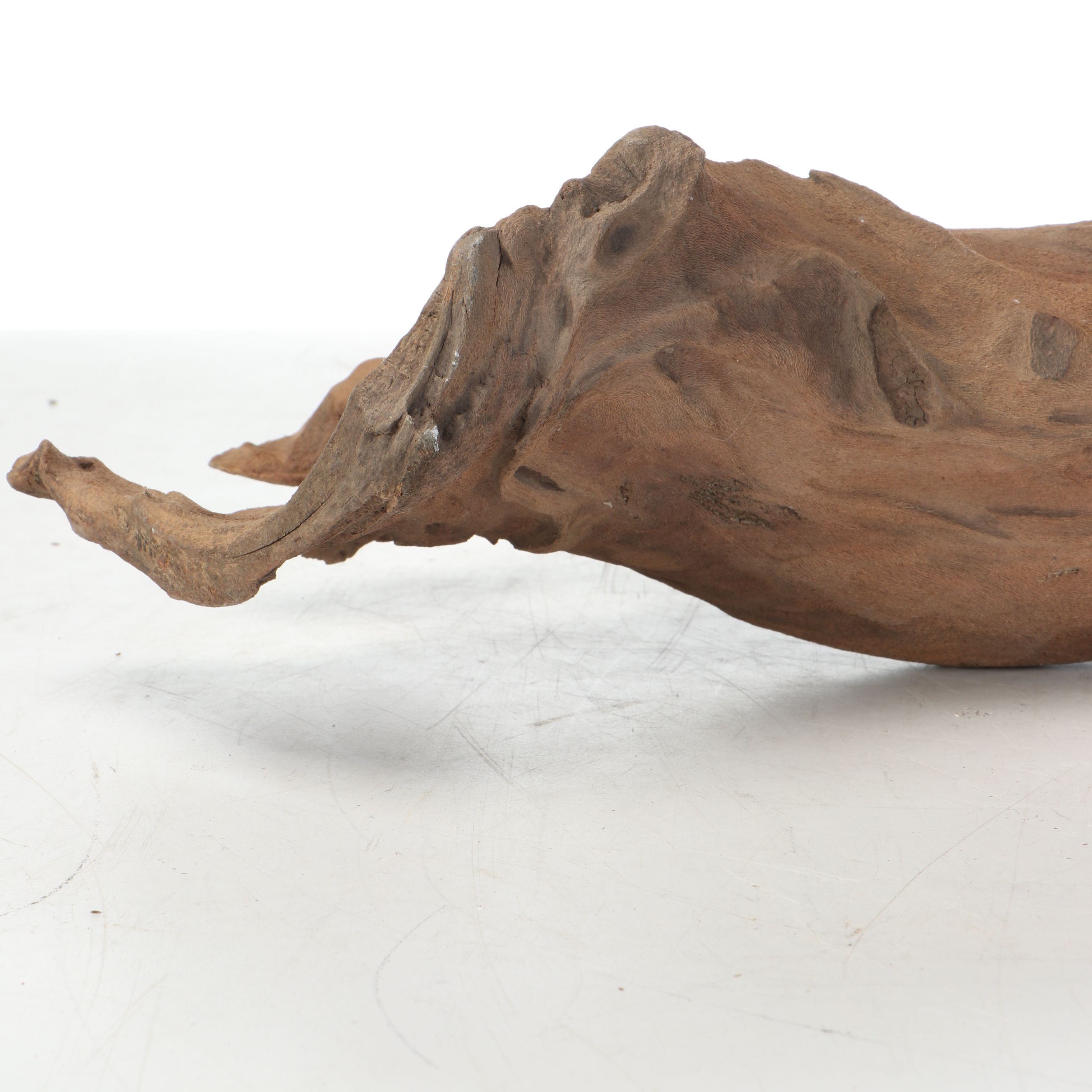 Natural Cypress Tree Knees