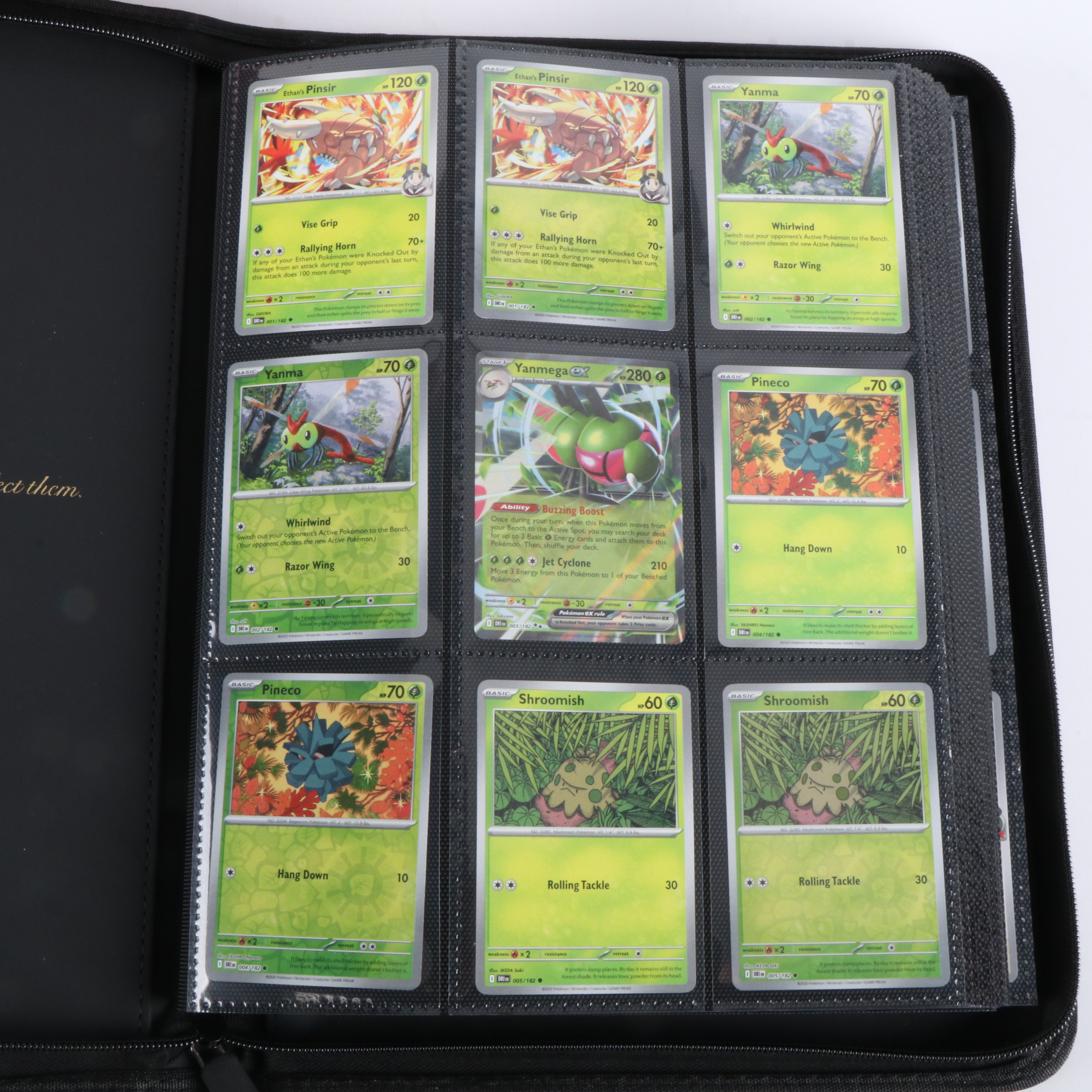 Destined Rivals Complete Pokémon Card Master Set with More, 2025