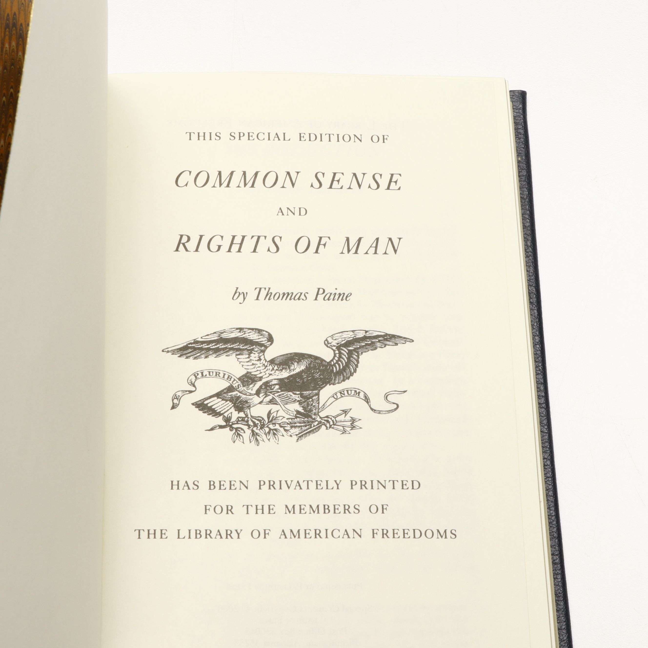 "Gone with the Wind," "The Scarlet Letter," and More Fiction and Nonfiction