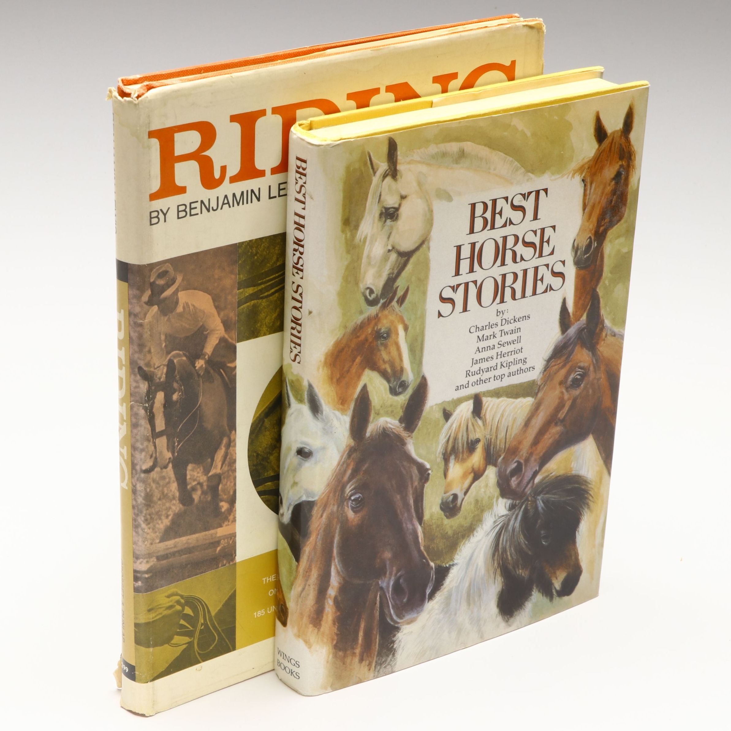 "Riding," "Best Horse Stories," and More Horse Books