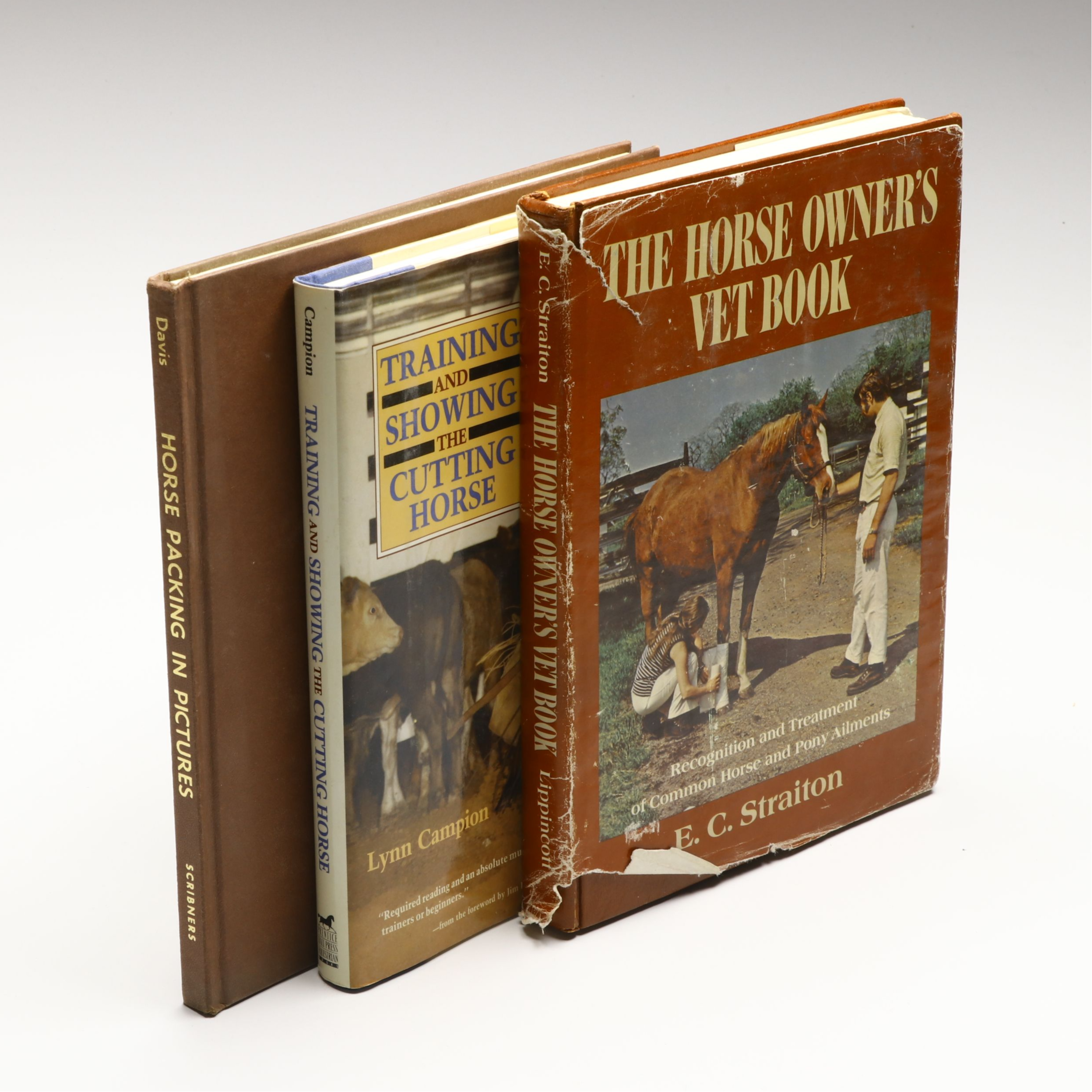 "Riding," "Best Horse Stories," and More Horse Books