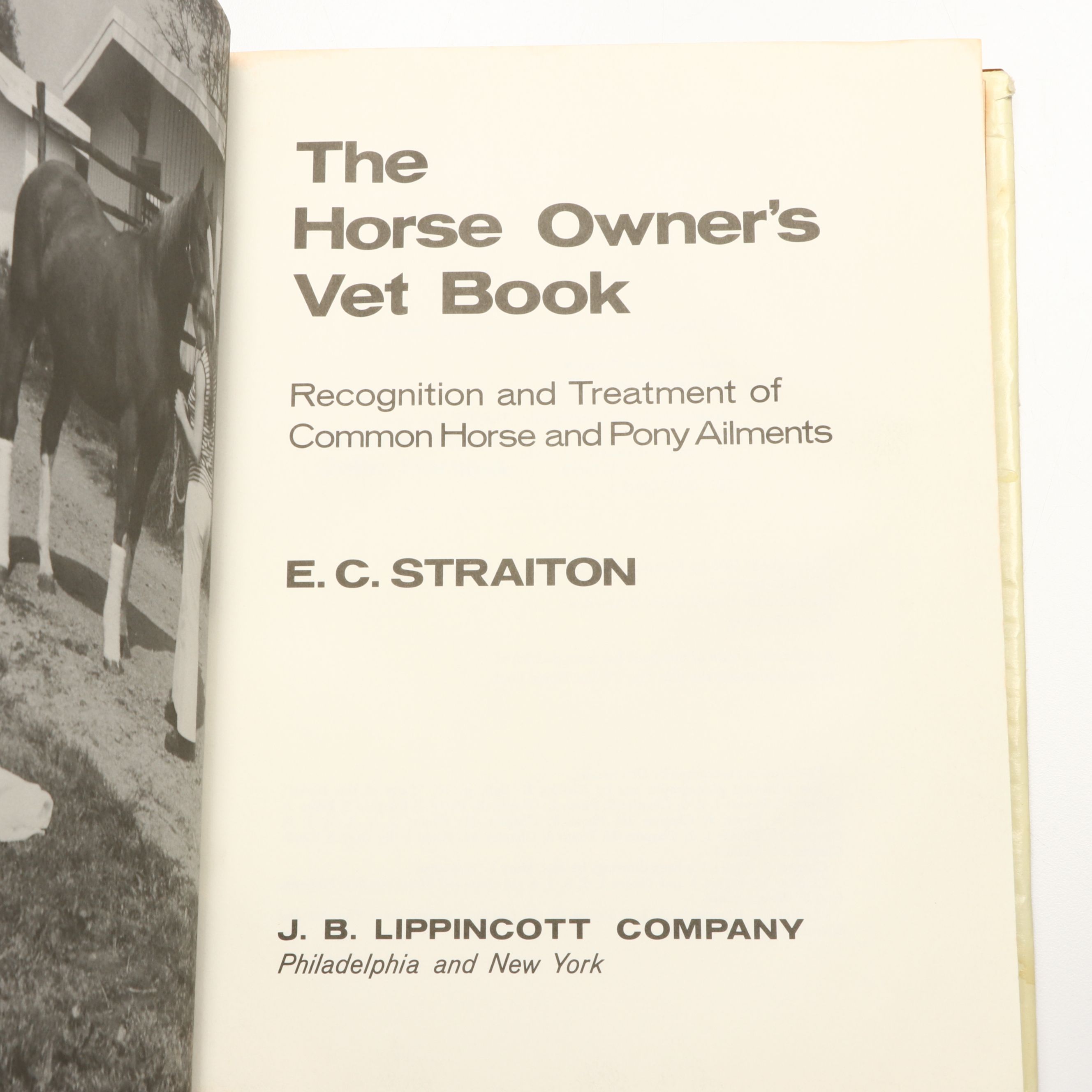 "Riding," "Best Horse Stories," and More Horse Books