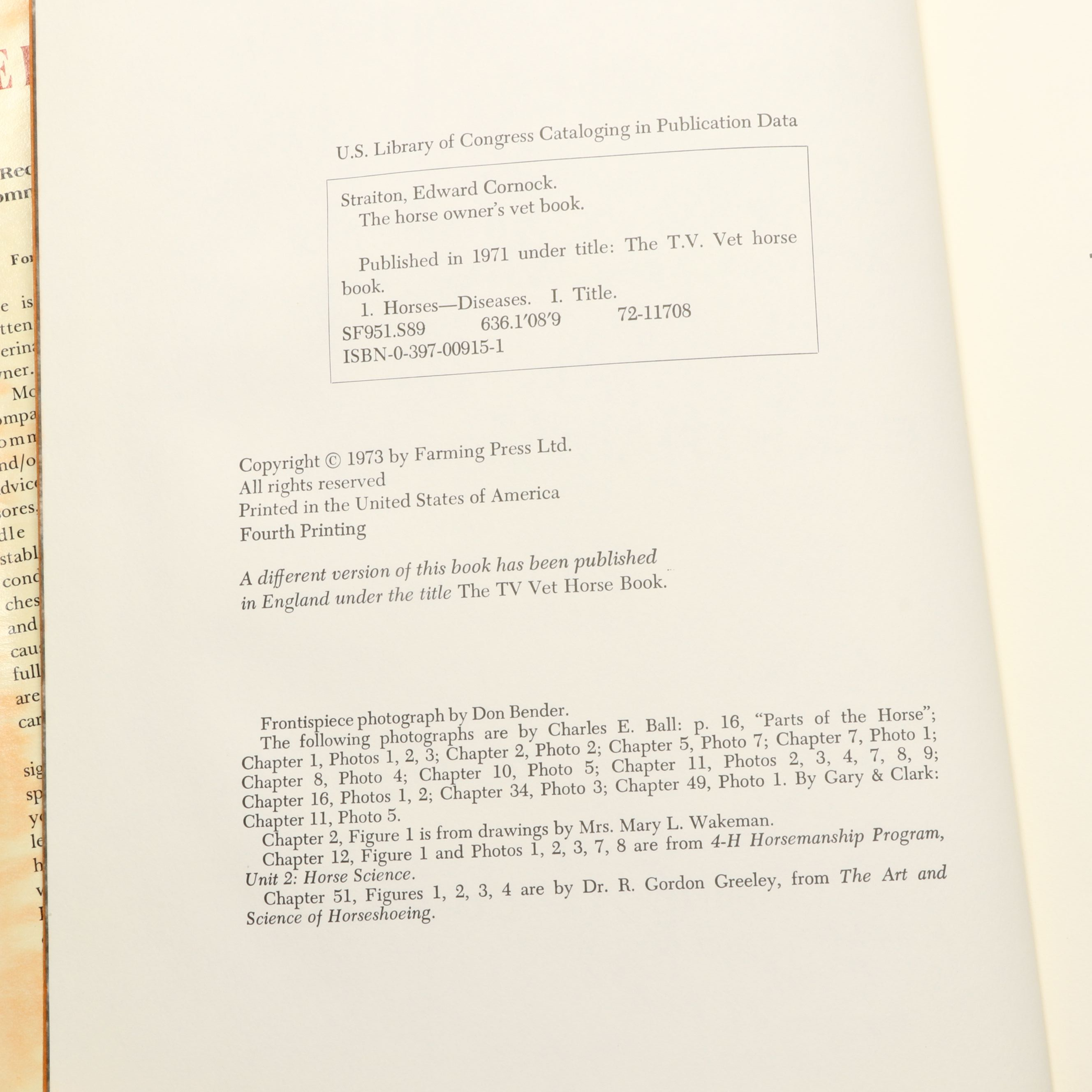 "Riding," "Best Horse Stories," and More Horse Books