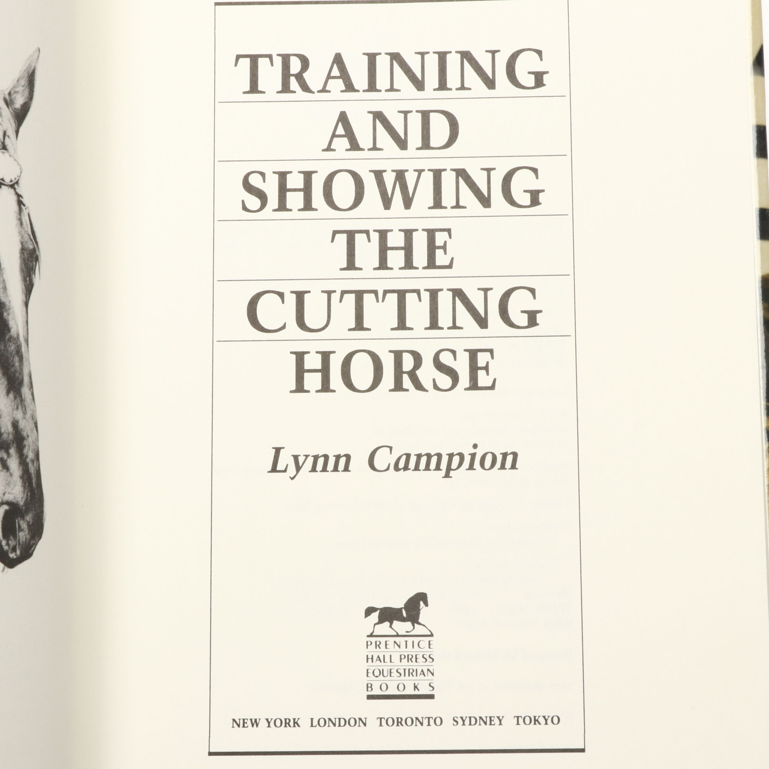 "Riding," "Best Horse Stories," and More Horse Books