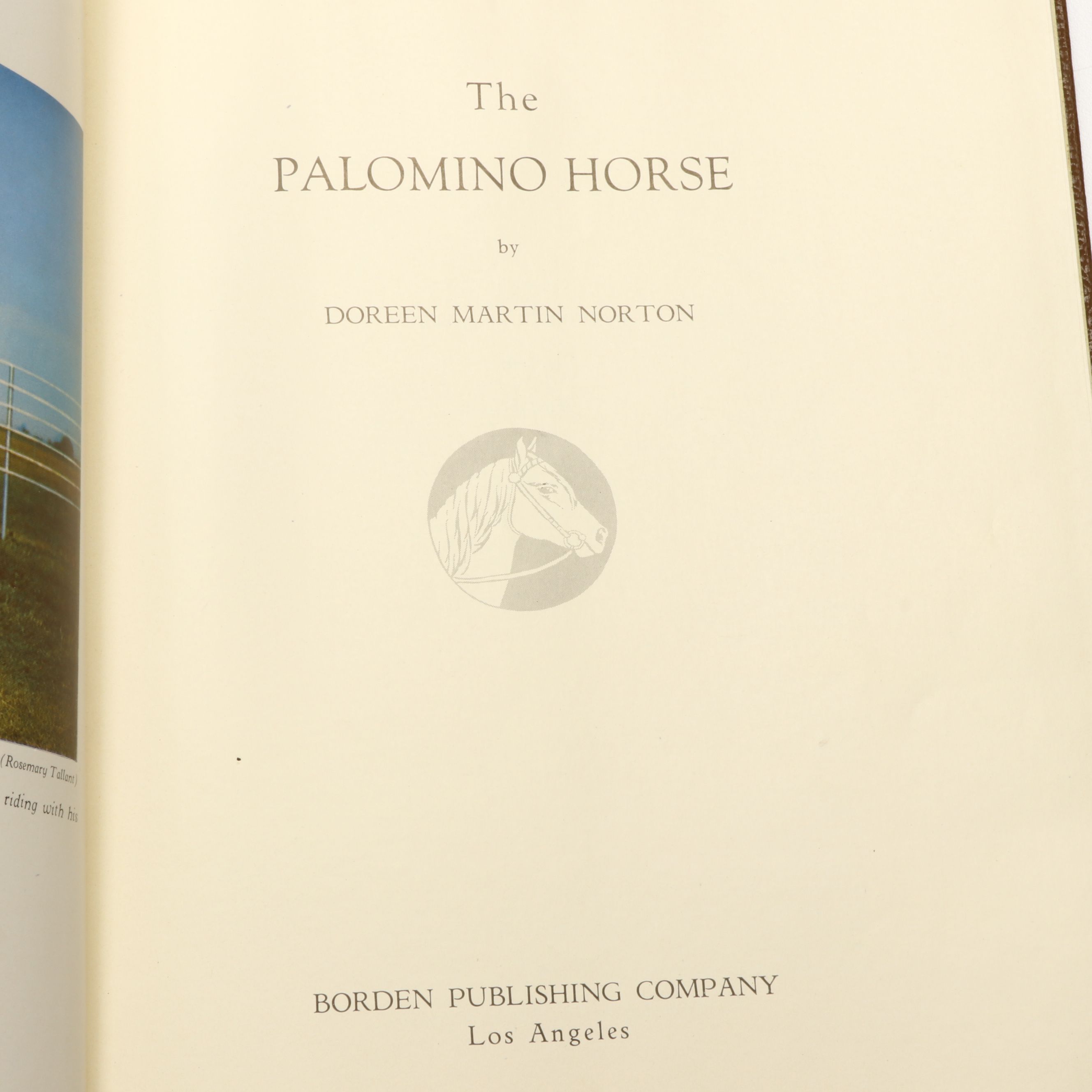 "Riding," "Best Horse Stories," and More Horse Books