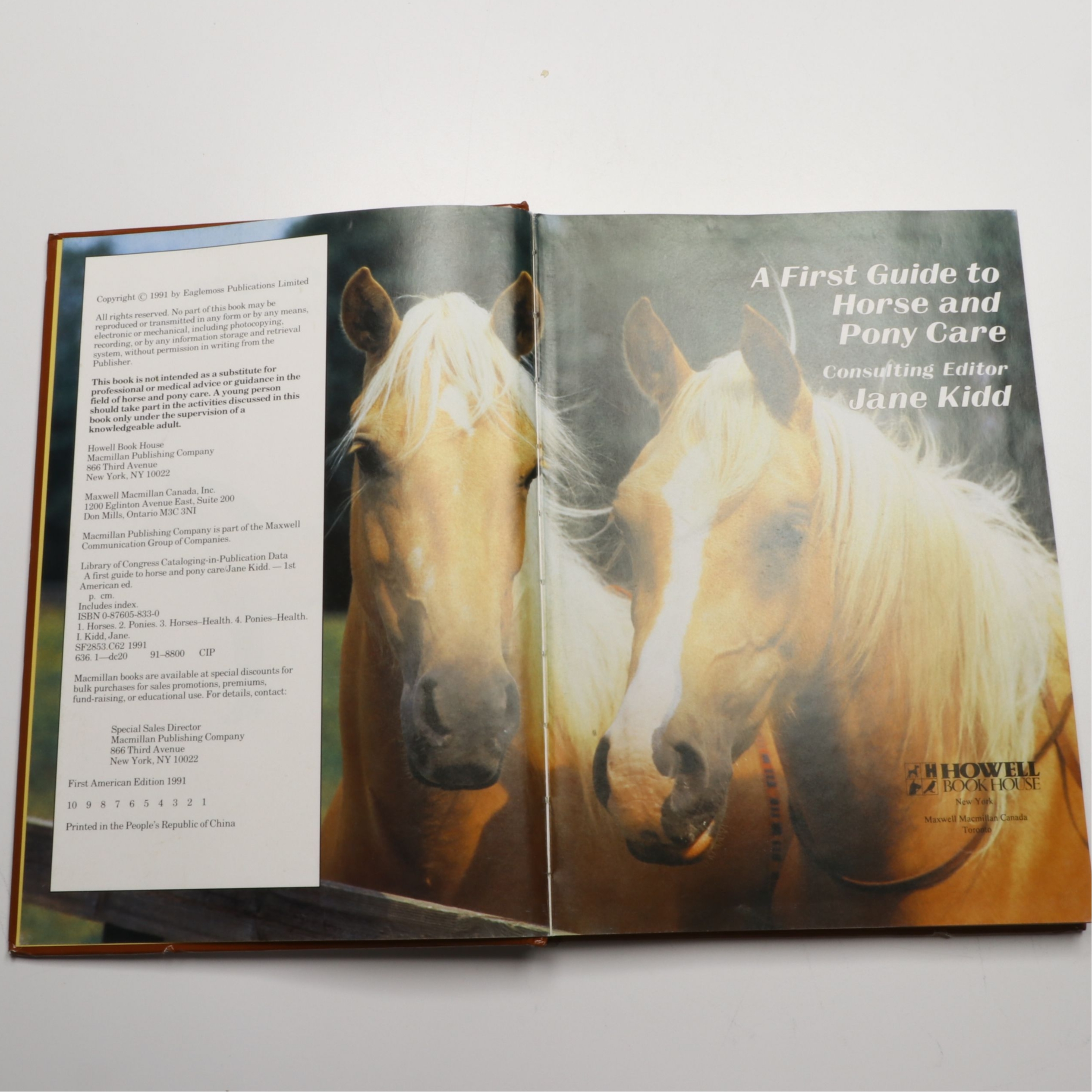 "Riding," "Best Horse Stories," and More Horse Books