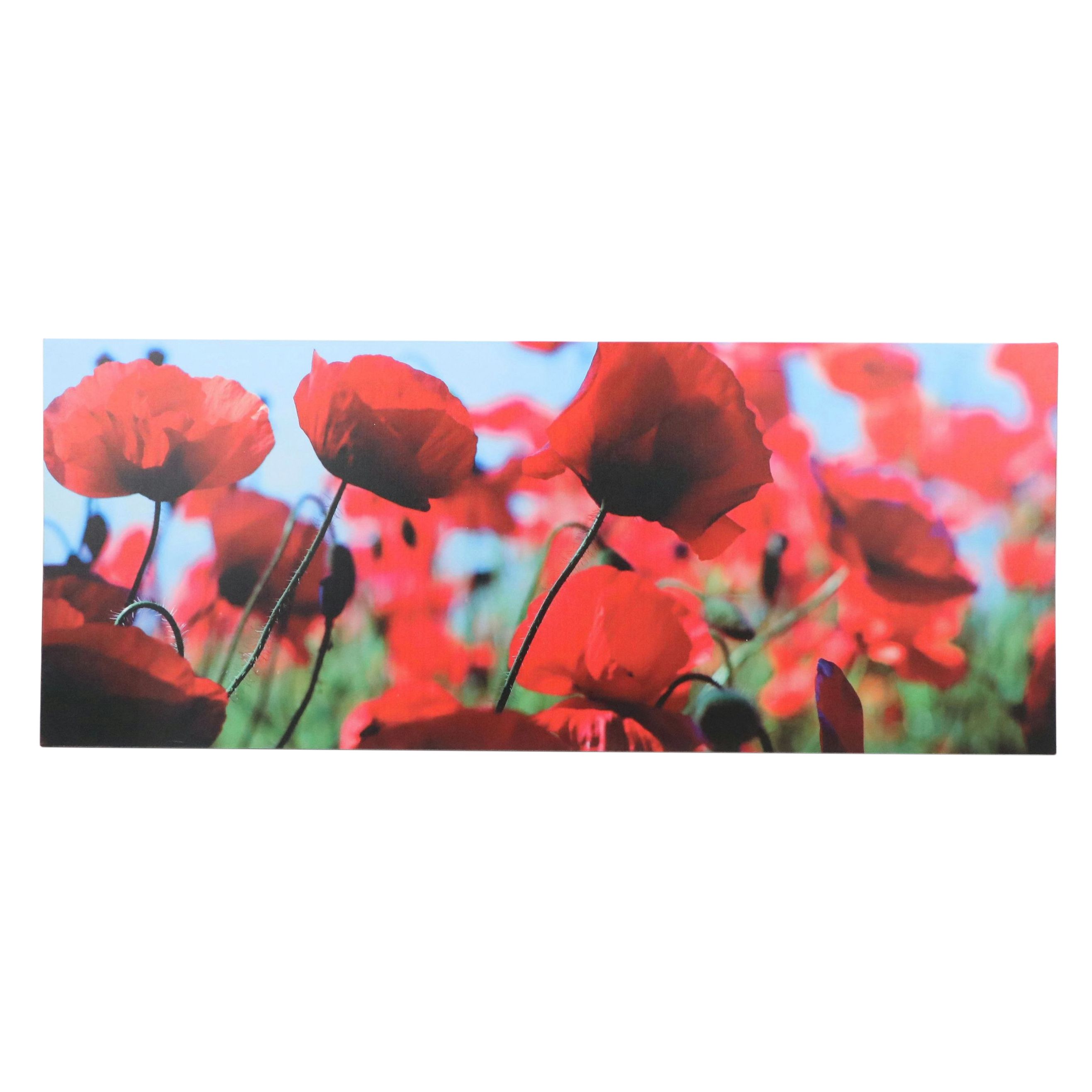 After Bjorn Wennerwald Gicleé on Canvas "Poppies," 21st Century