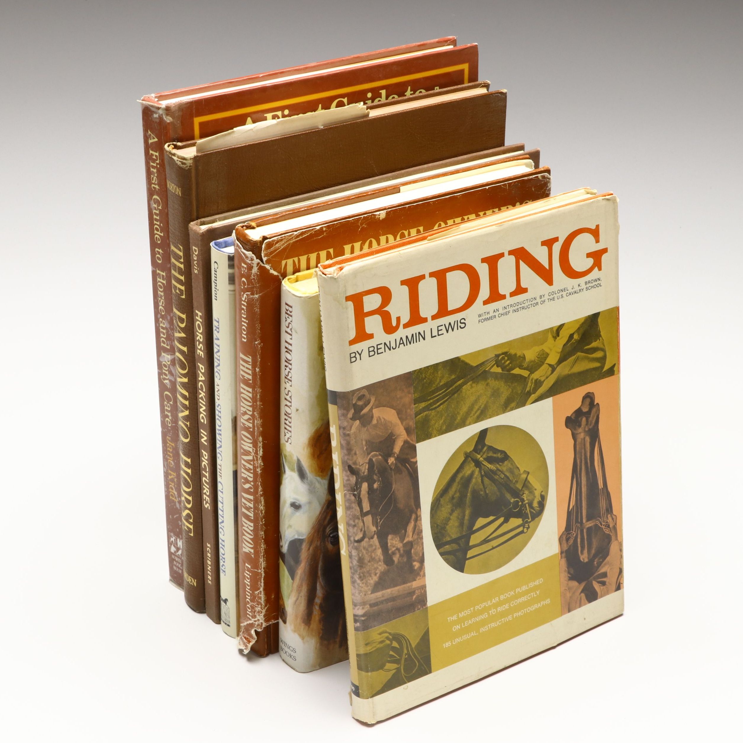 "Riding," "Best Horse Stories," and More Horse Books
