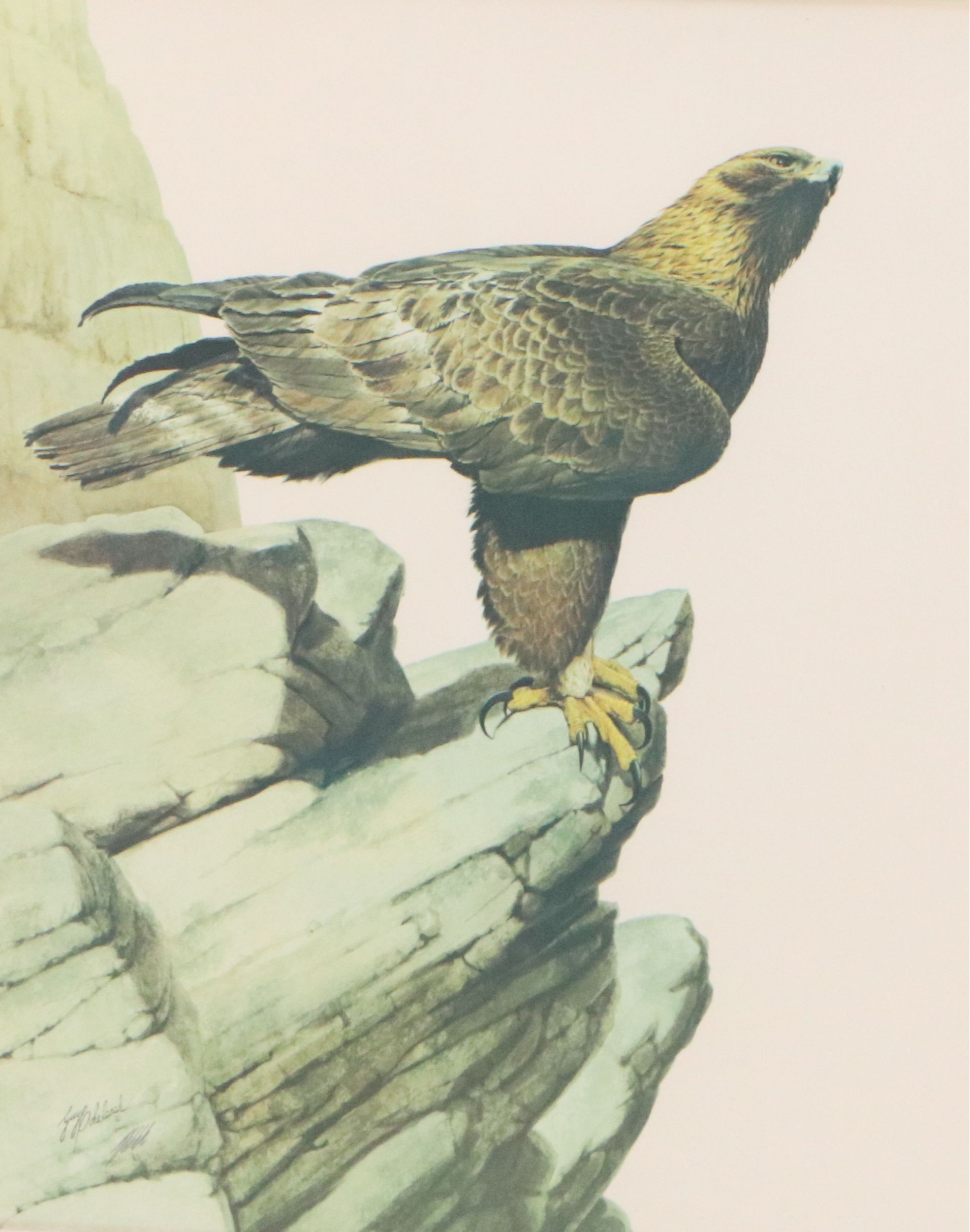 Guy Coheleach Offset Lithograph "Golden Eagle"