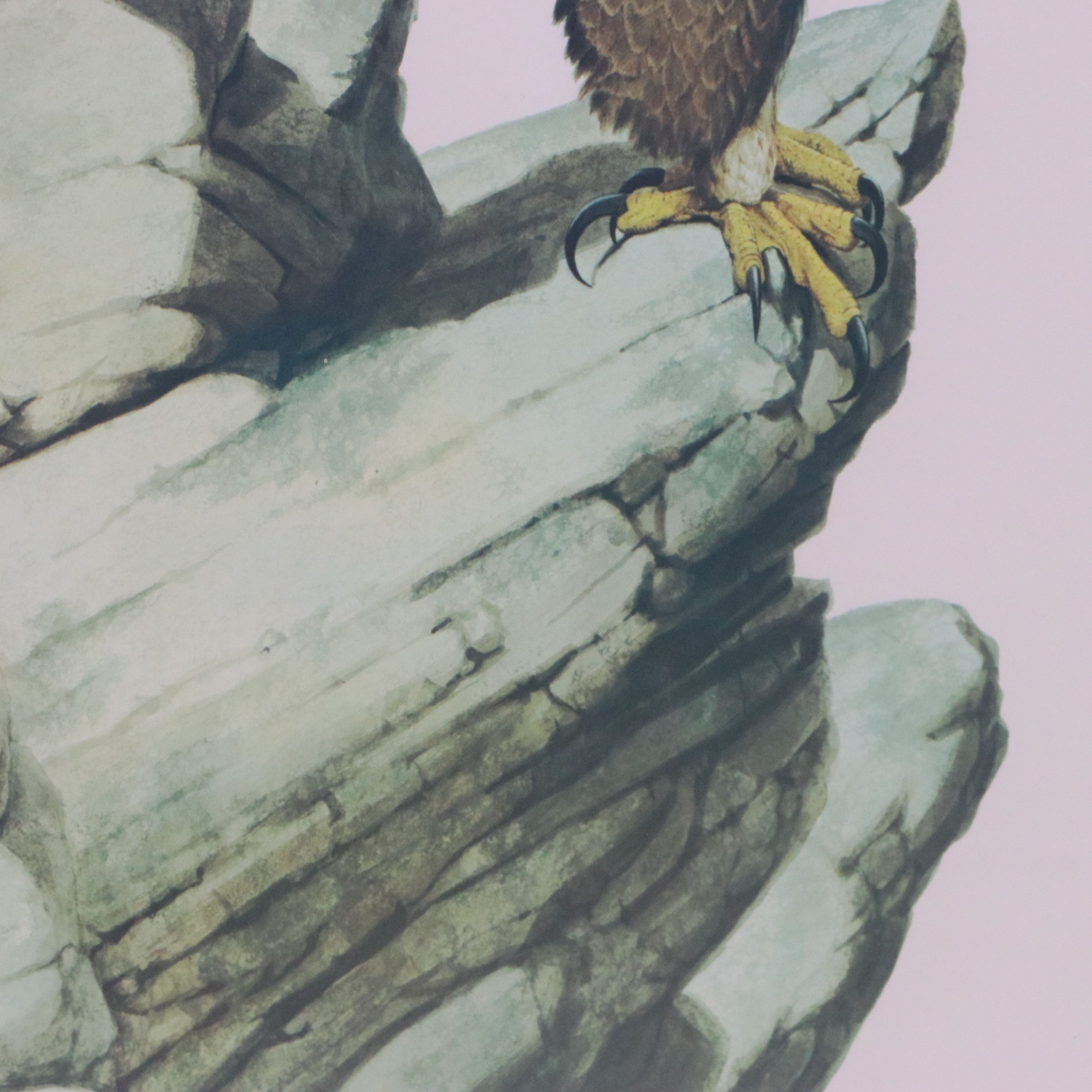 Guy Coheleach Offset Lithograph "Golden Eagle"