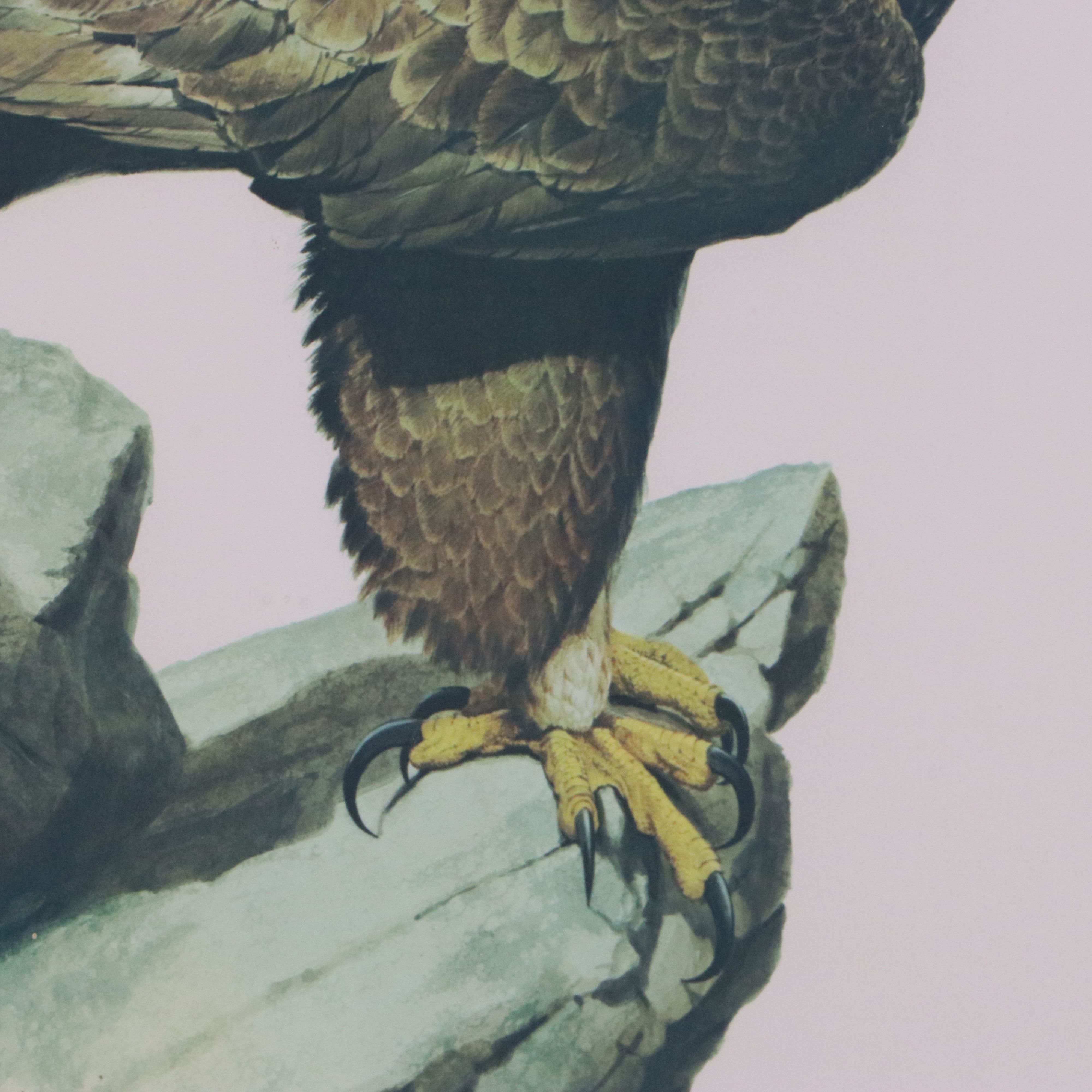 Guy Coheleach Offset Lithograph "Golden Eagle"