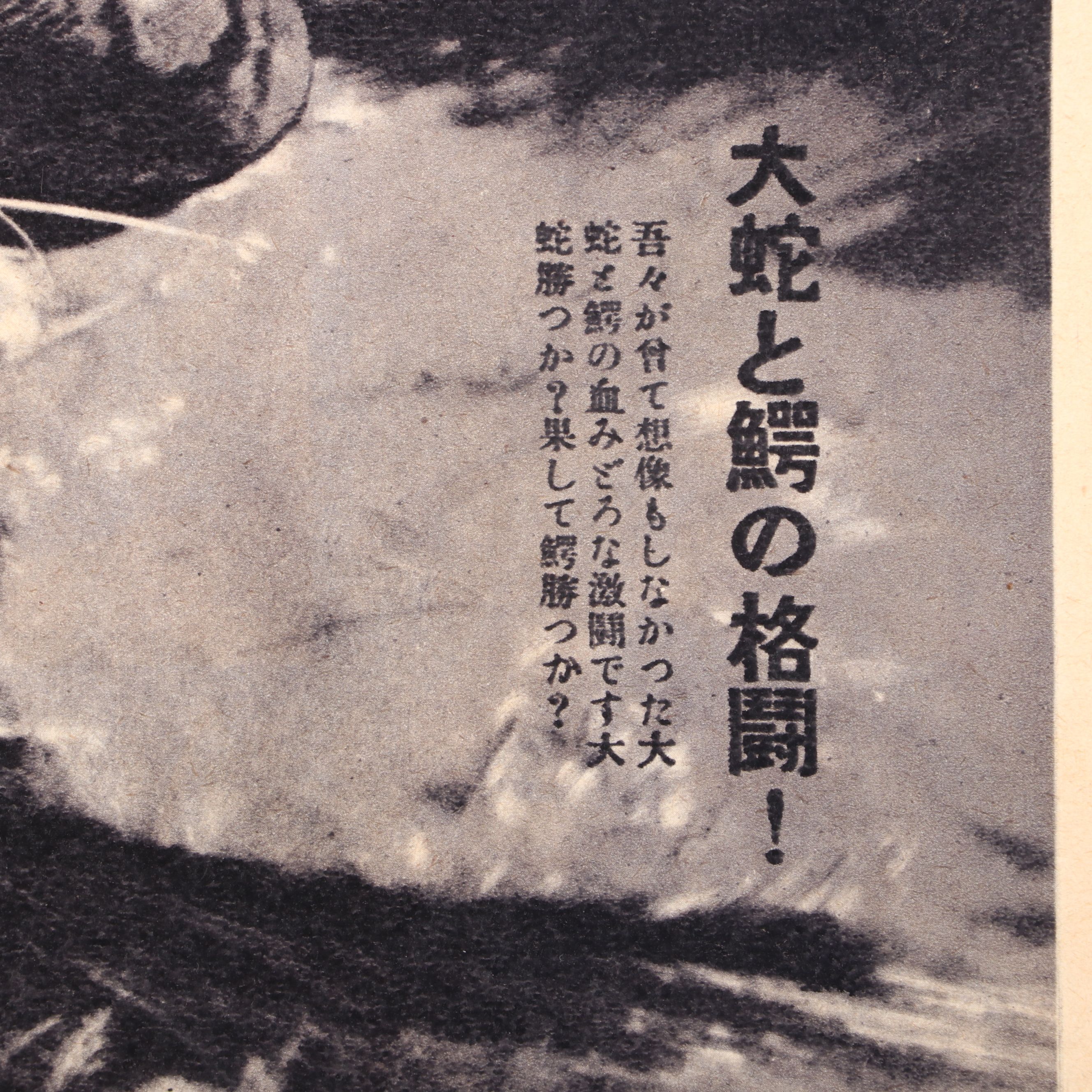 Japanese "ガルマ" and "マラガ" Film Advertisements