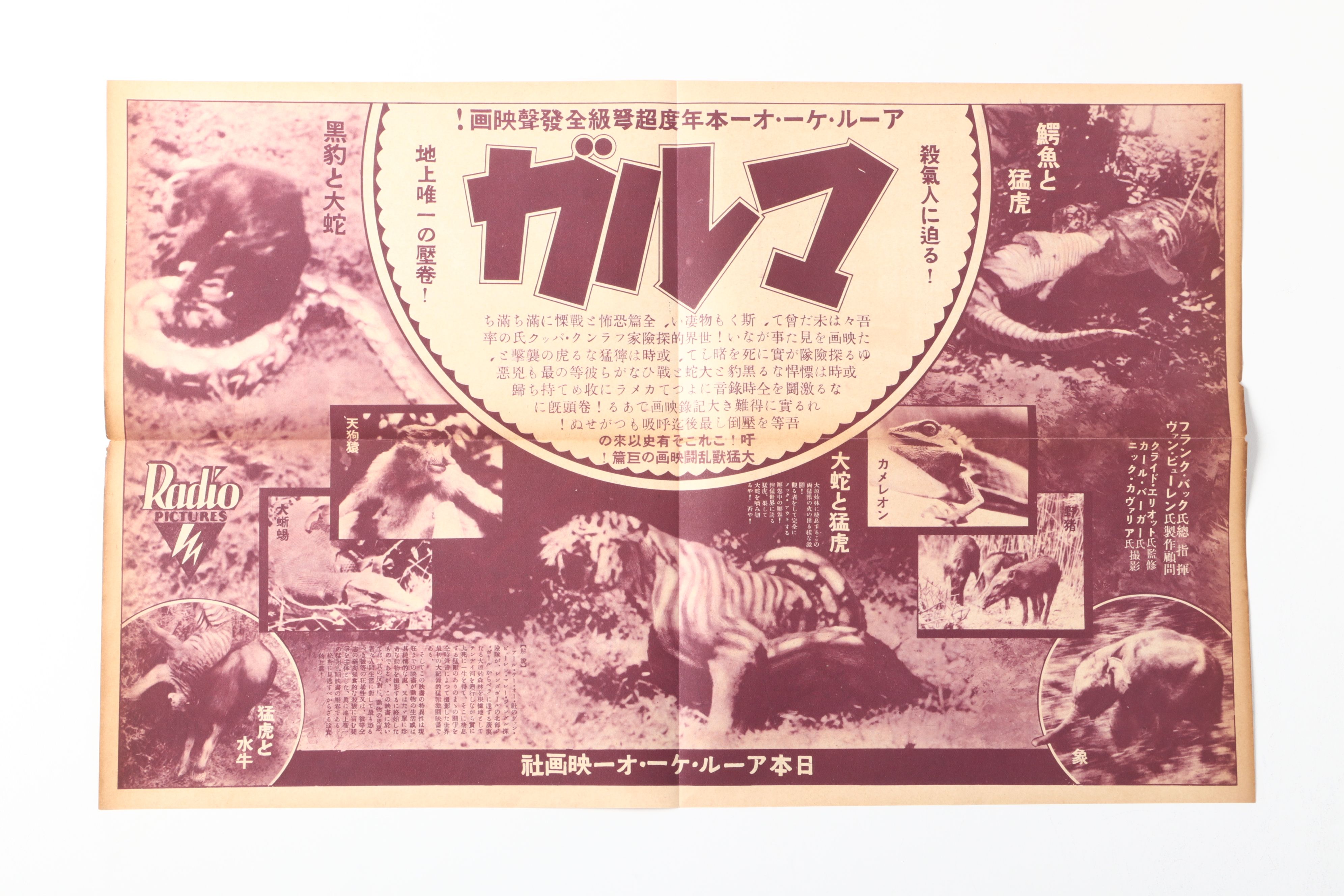 Japanese "ガルマ" and "マラガ" Film Advertisements