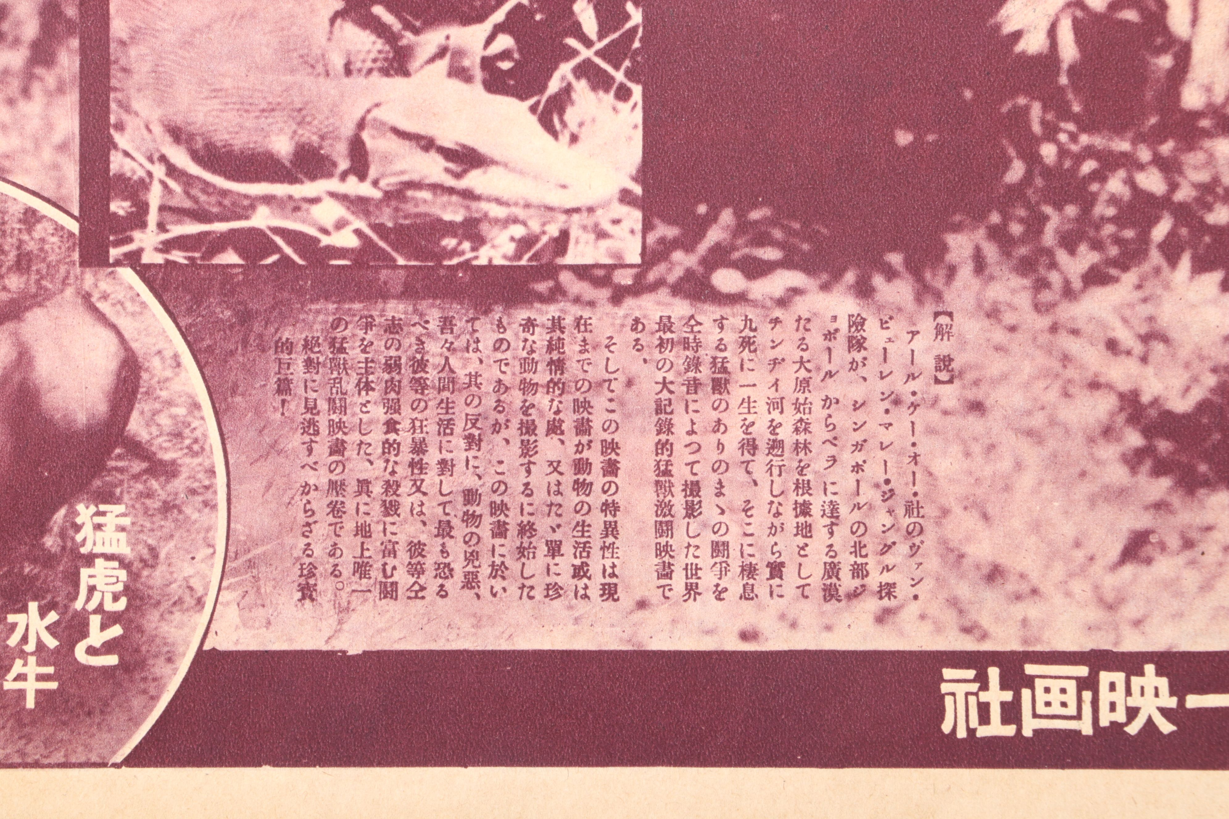 Japanese "ガルマ" and "マラガ" Film Advertisements