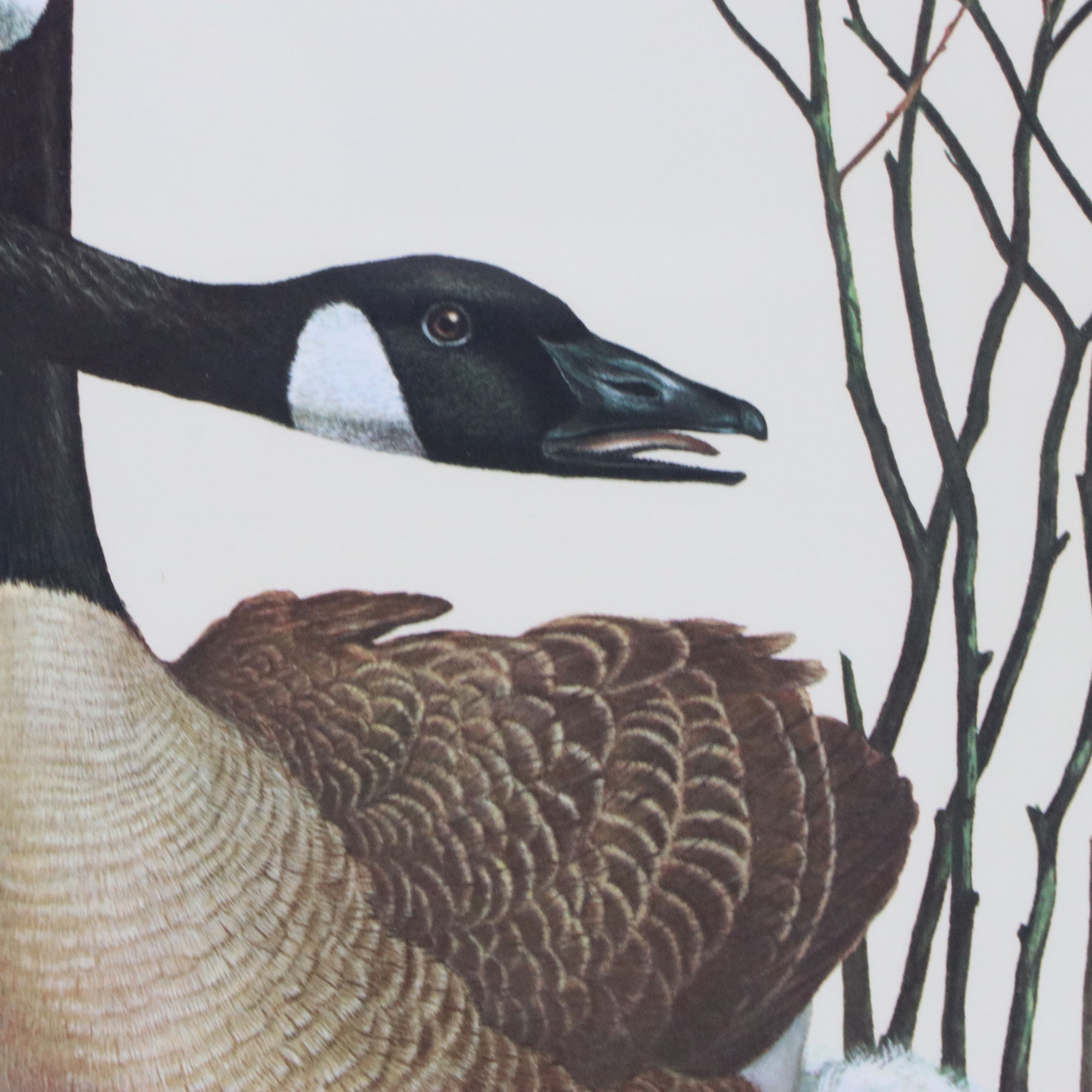 Ray Harm Offset Lithograph "Canada Goose"