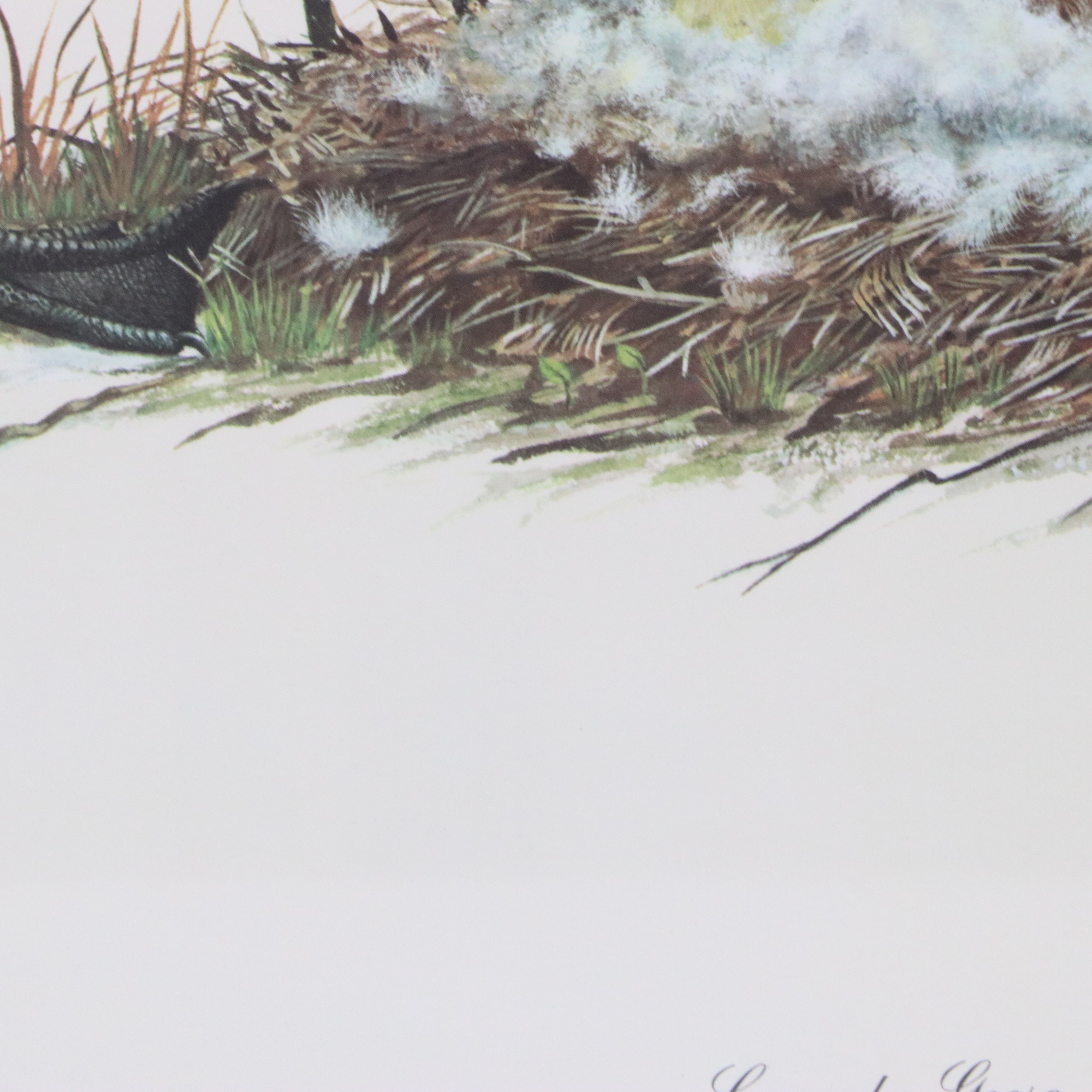 Ray Harm Offset Lithograph "Canada Goose"