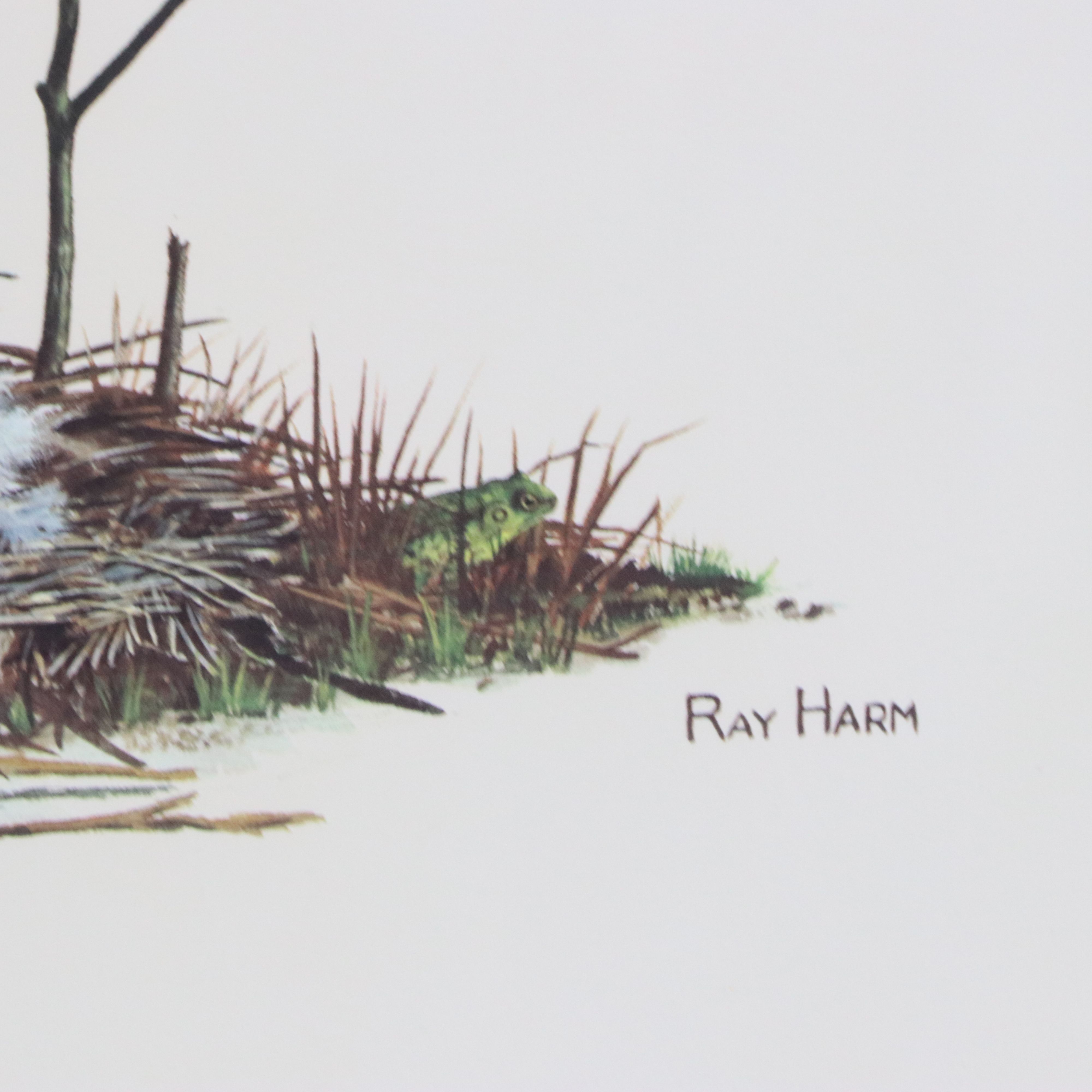 Ray Harm Offset Lithograph "Canada Goose"