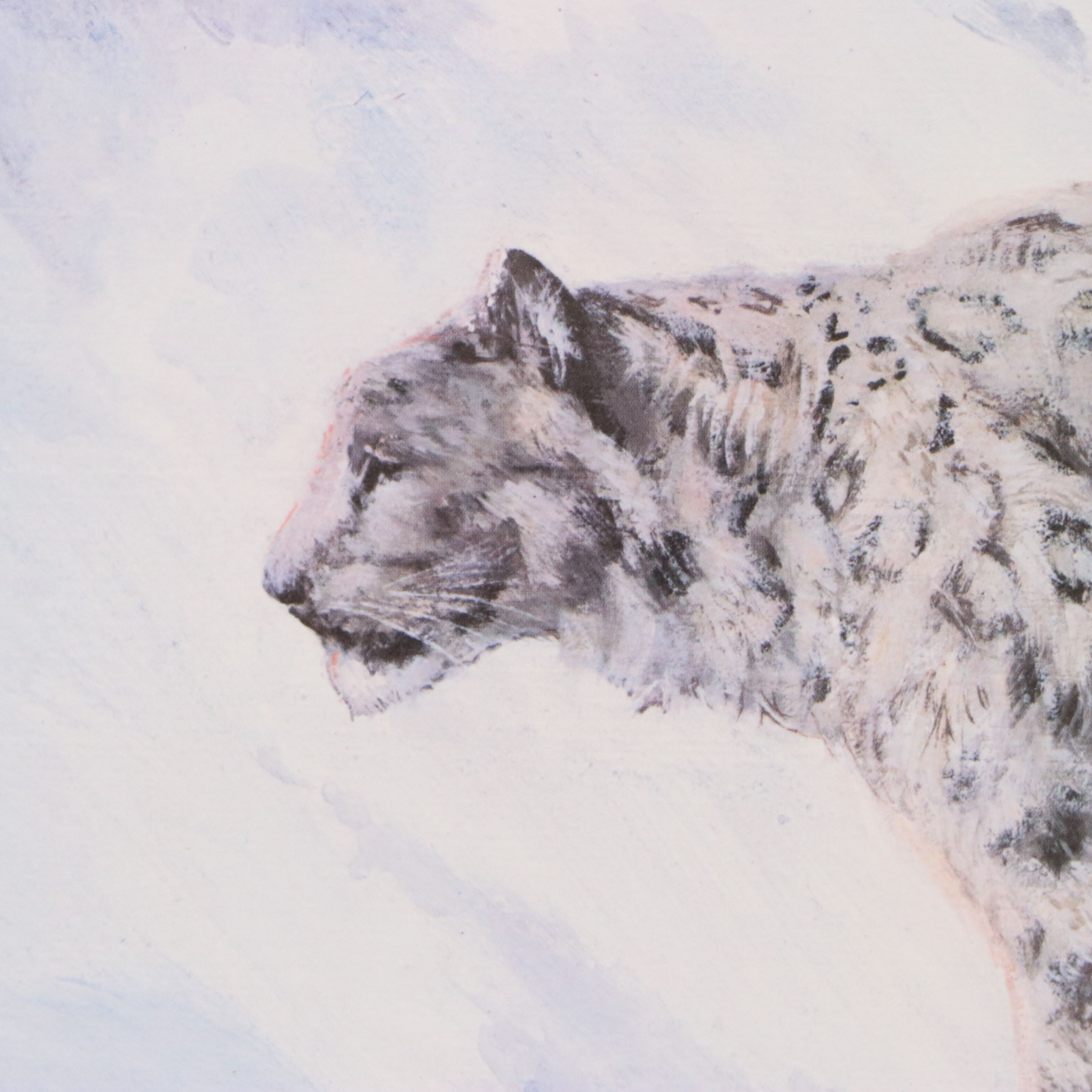 Louise Lopina Offset Lithograph of Snow Leopards