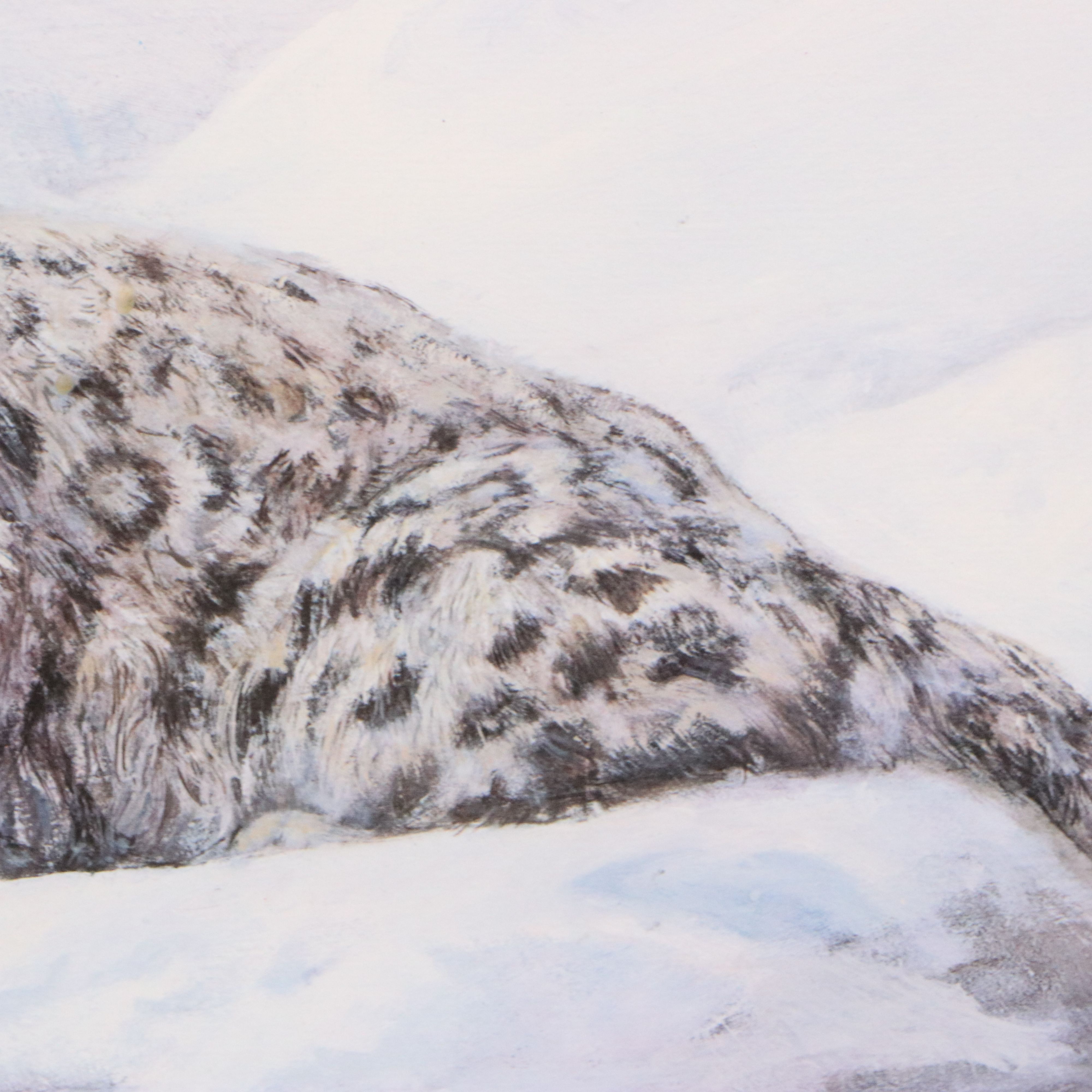 Louise Lopina Offset Lithograph of Snow Leopards