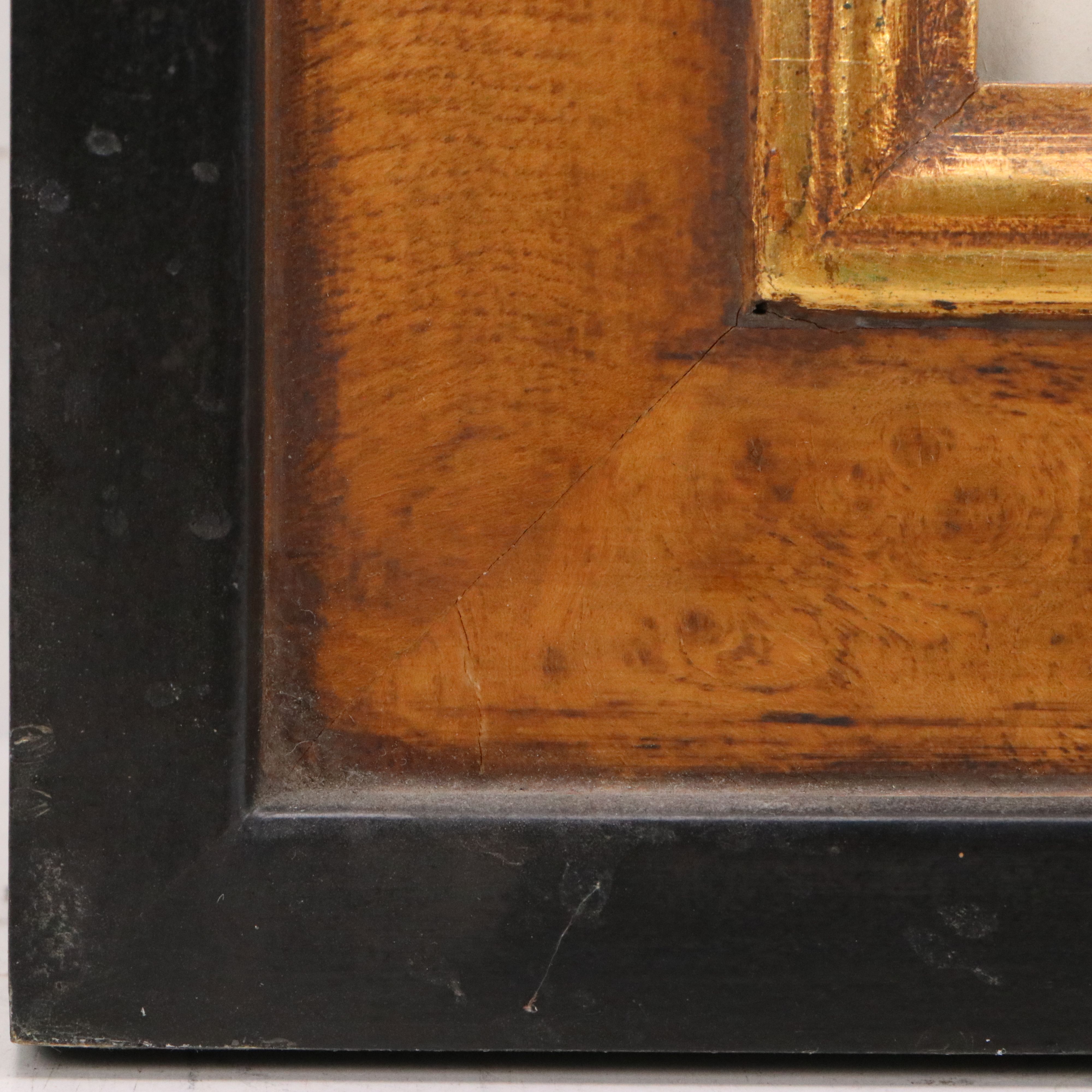 Ornithological Digital Print After William Home Lizars "Trochilus Cora"