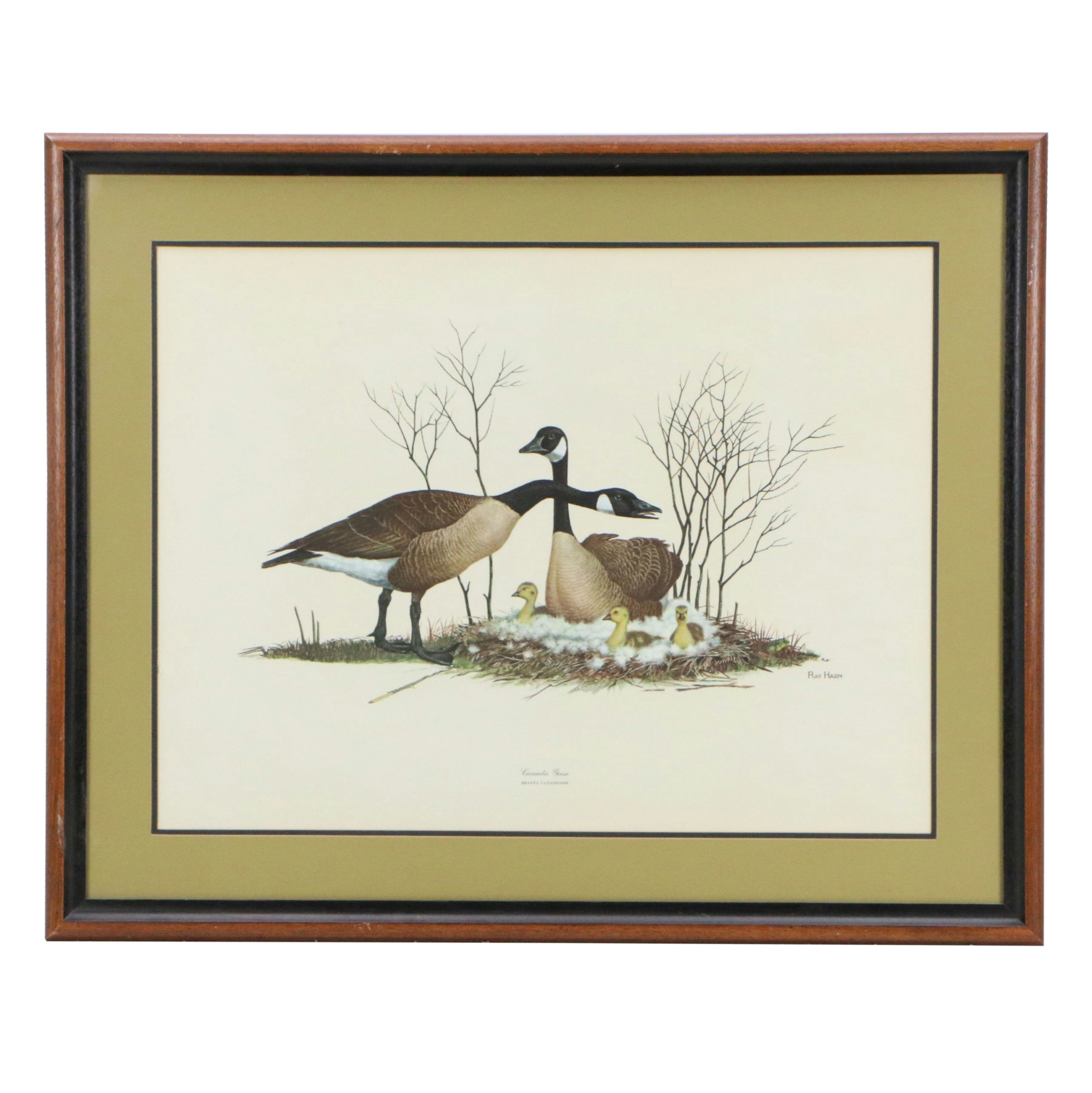 Ray Harm Offset Lithograph "Canada Goose"