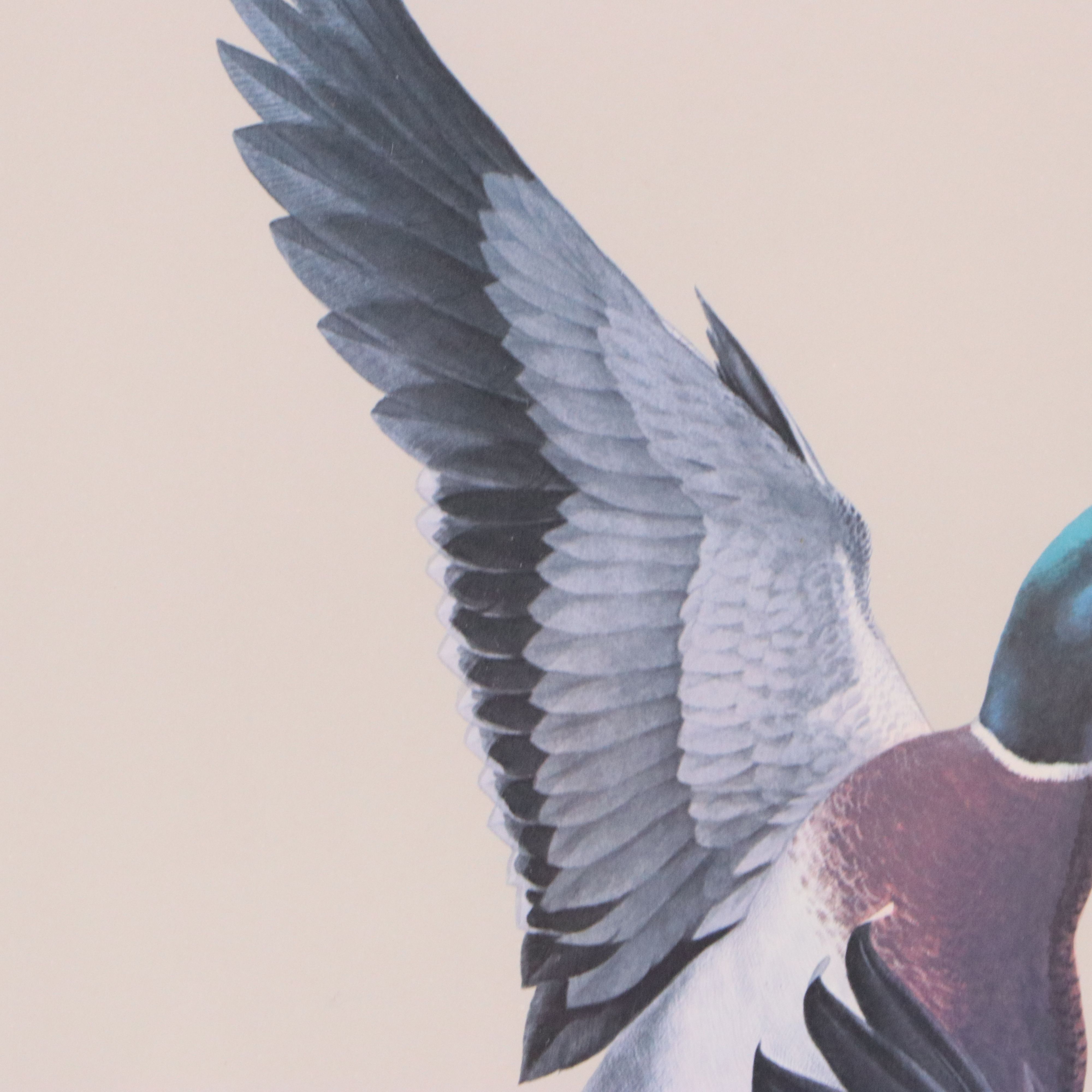 Guy Coheleach Offset Lithograph of Alighting Mallards