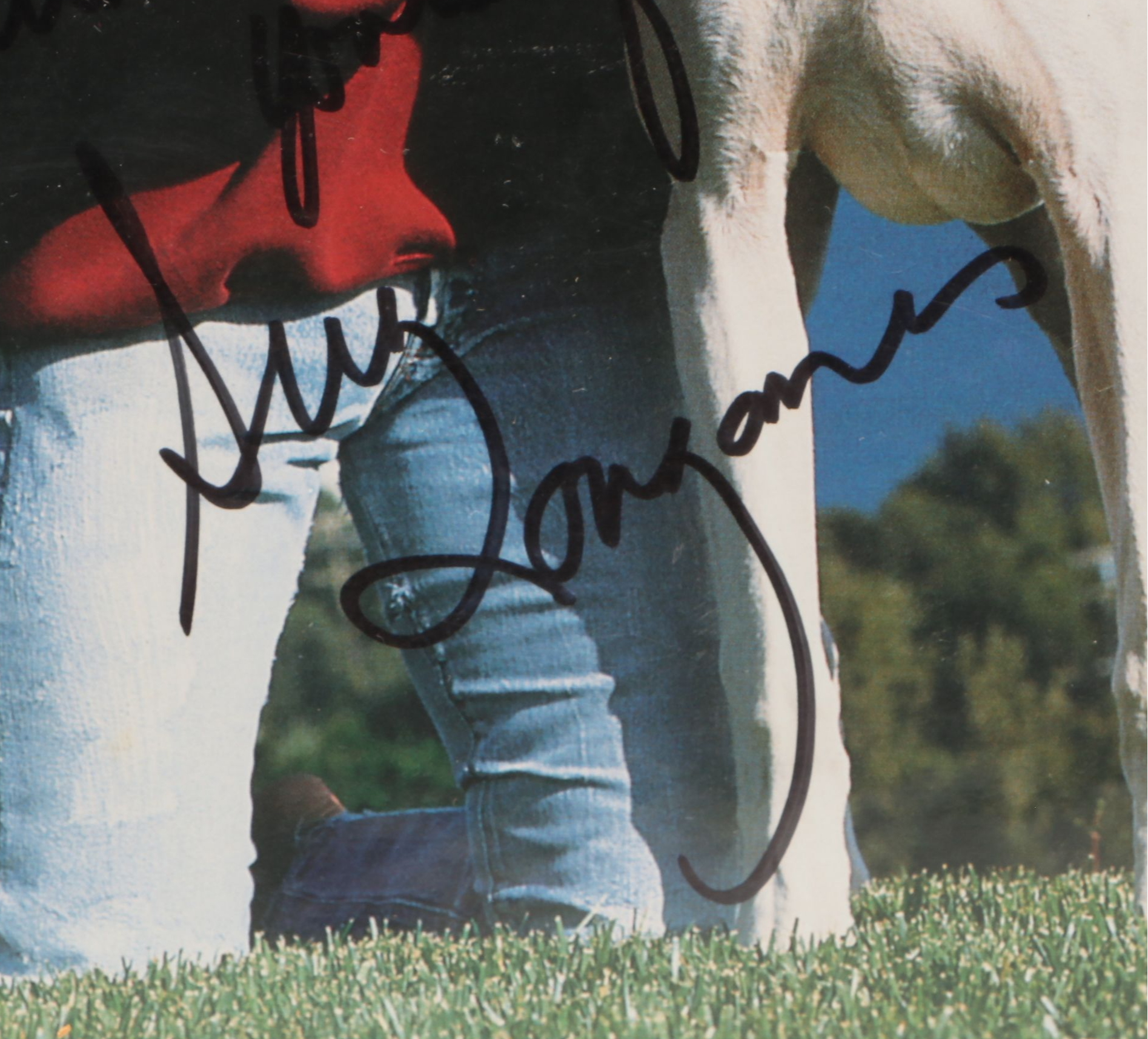 Jon Cypher, Steve Forbes, Charlie Gibson and More Signed Publicity Stills