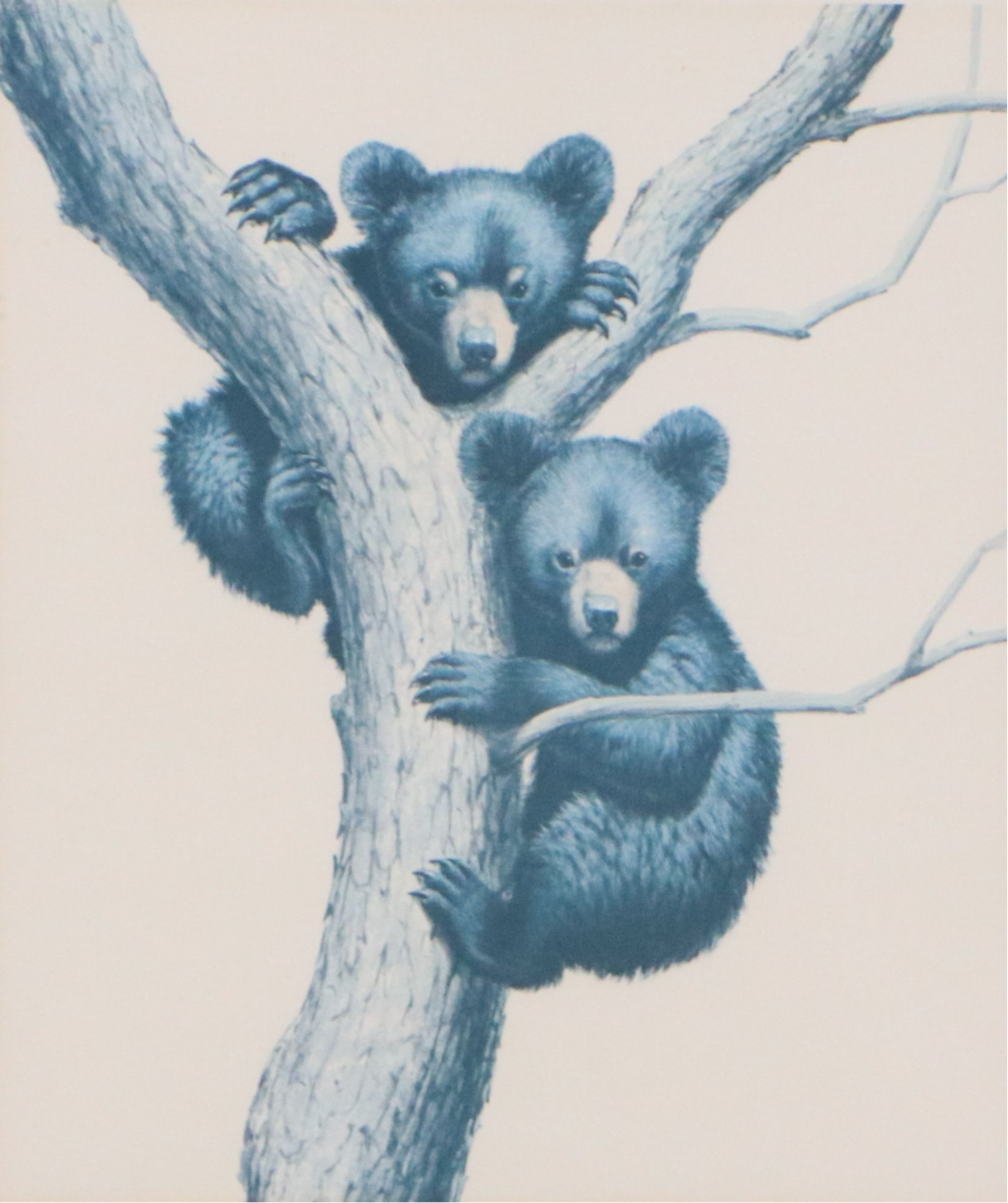 Offset Lithograph After Guy Coheleach "Black Bear Cubs"