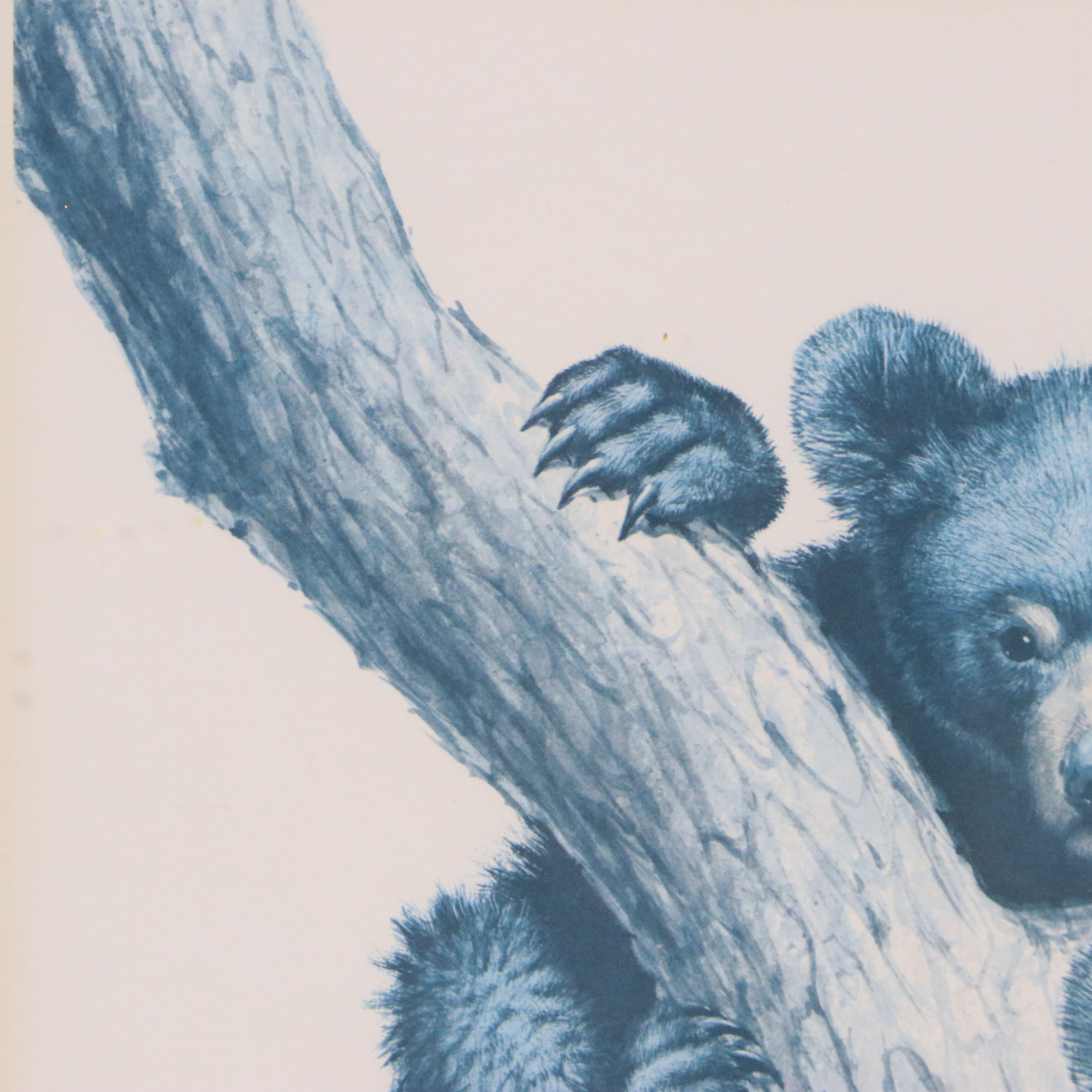 Offset Lithograph After Guy Coheleach "Black Bear Cubs"