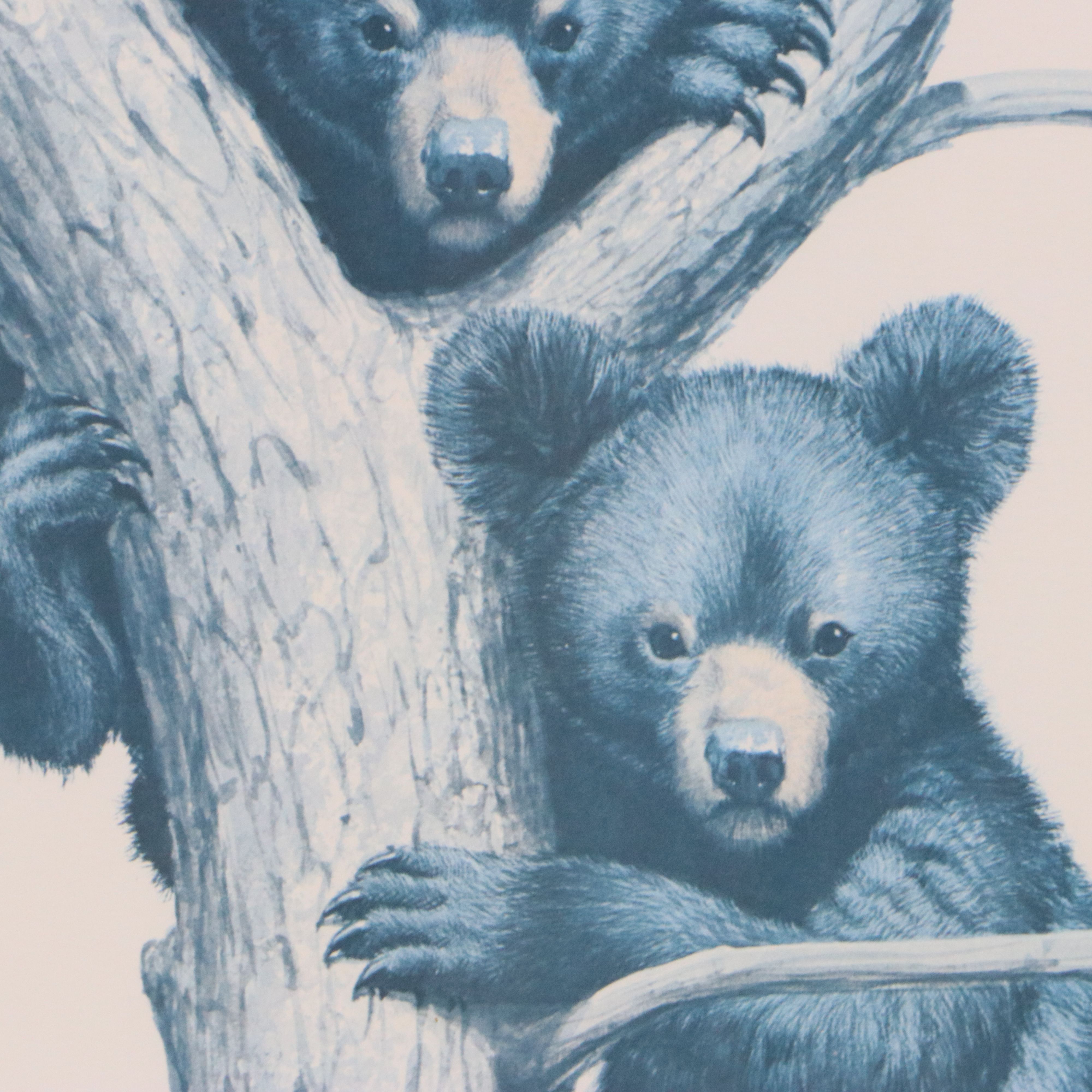 Offset Lithograph After Guy Coheleach "Black Bear Cubs"