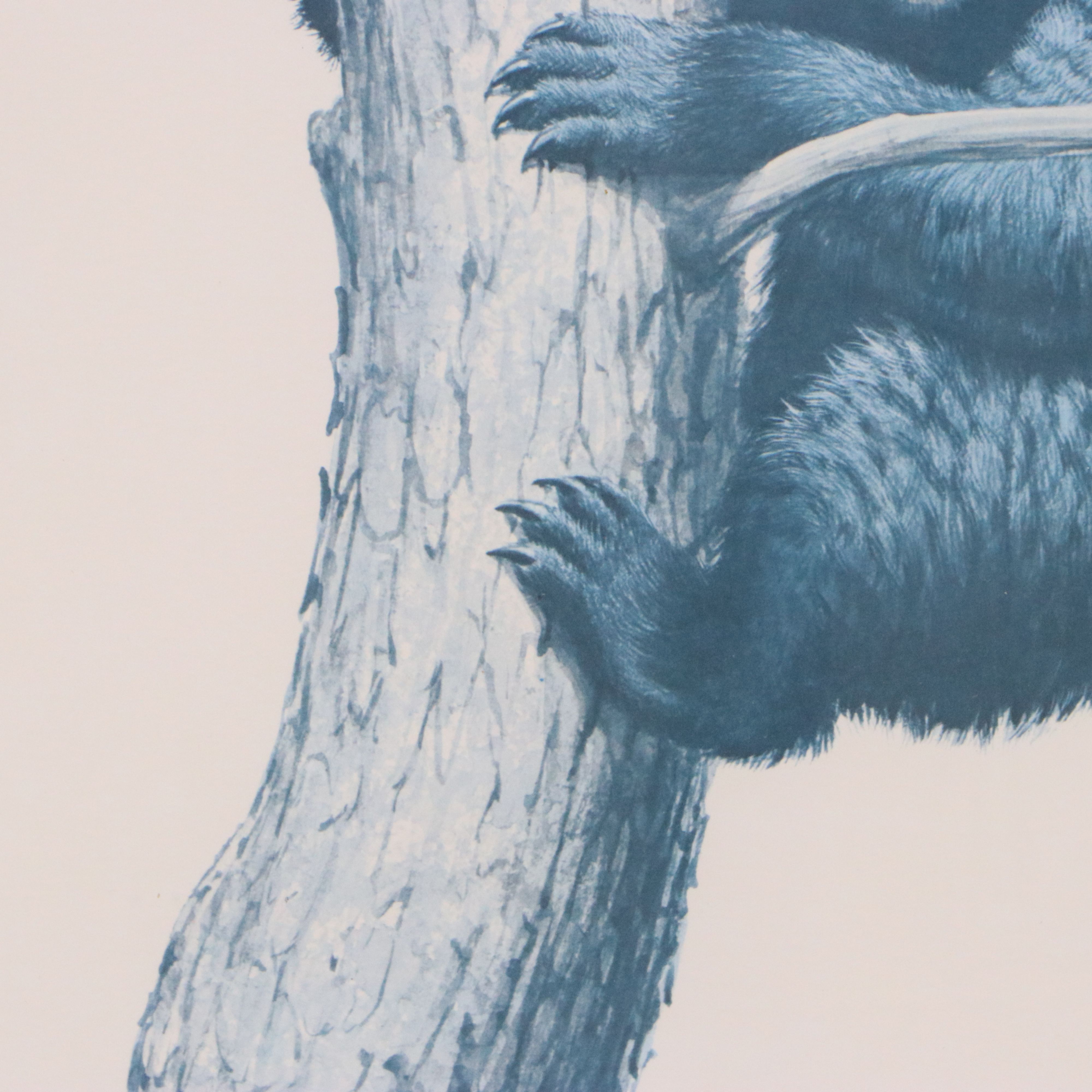 Offset Lithograph After Guy Coheleach "Black Bear Cubs"