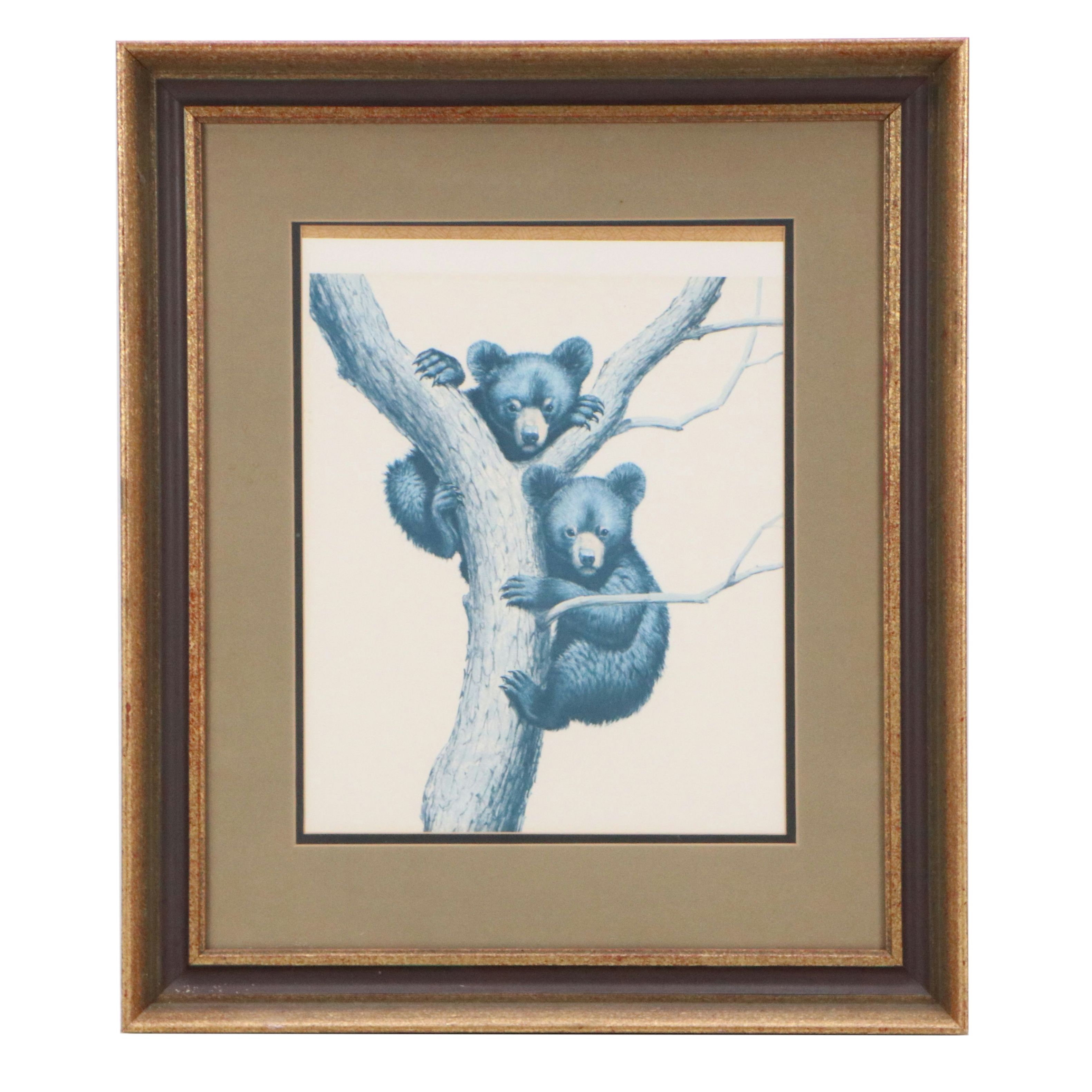 Offset Lithograph After Guy Coheleach "Black Bear Cubs"