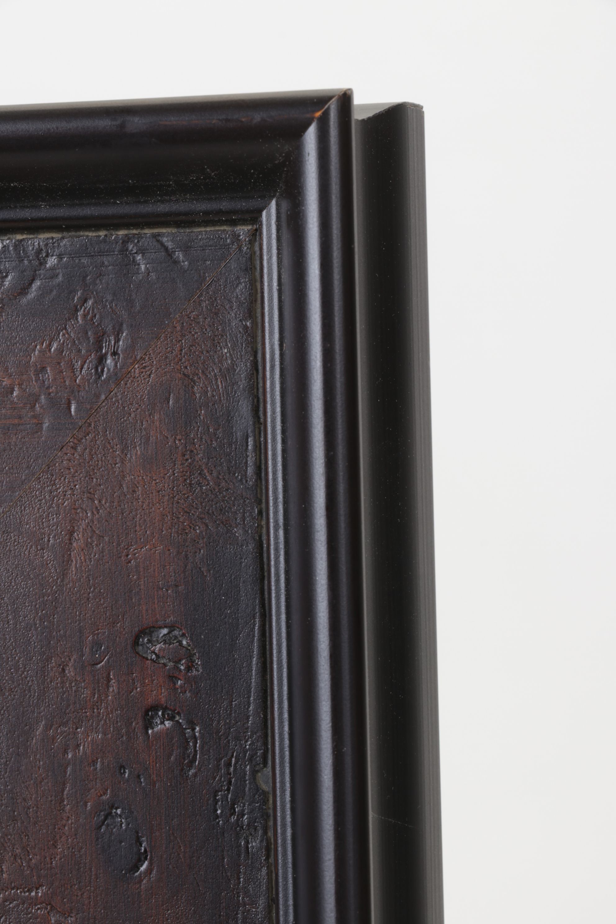 Woodblock Print After Edward Joseph Lowe "Lomaria Nuda", Late 19th Century