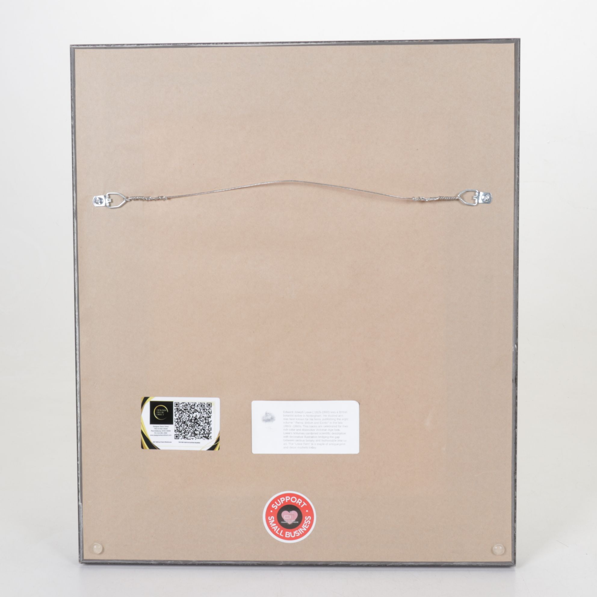 Woodblock Print After Edward Joseph Lowe "Lomaria Nuda", Late 19th Century