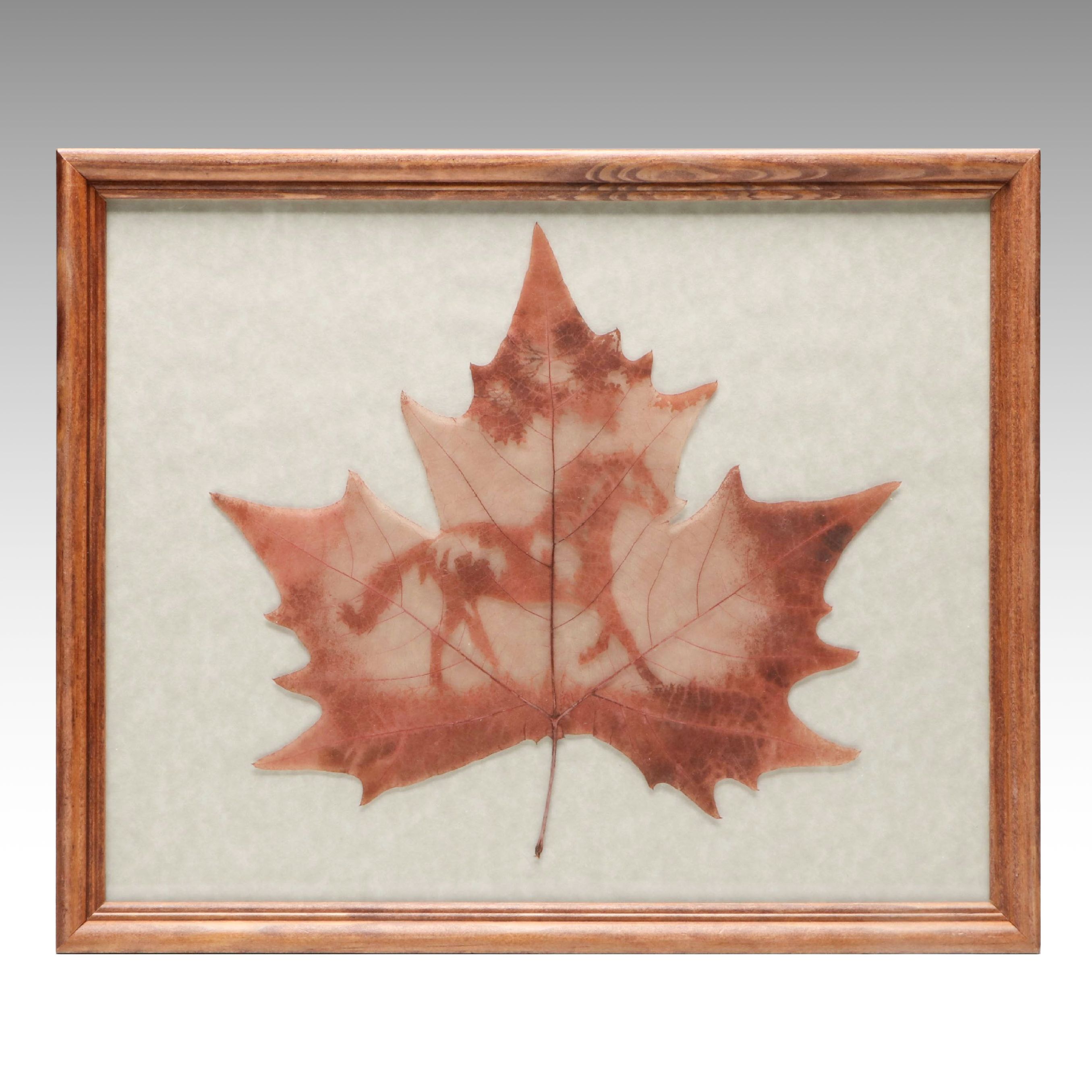 Hand-Carved Chinar Leaf with Prancing Horse