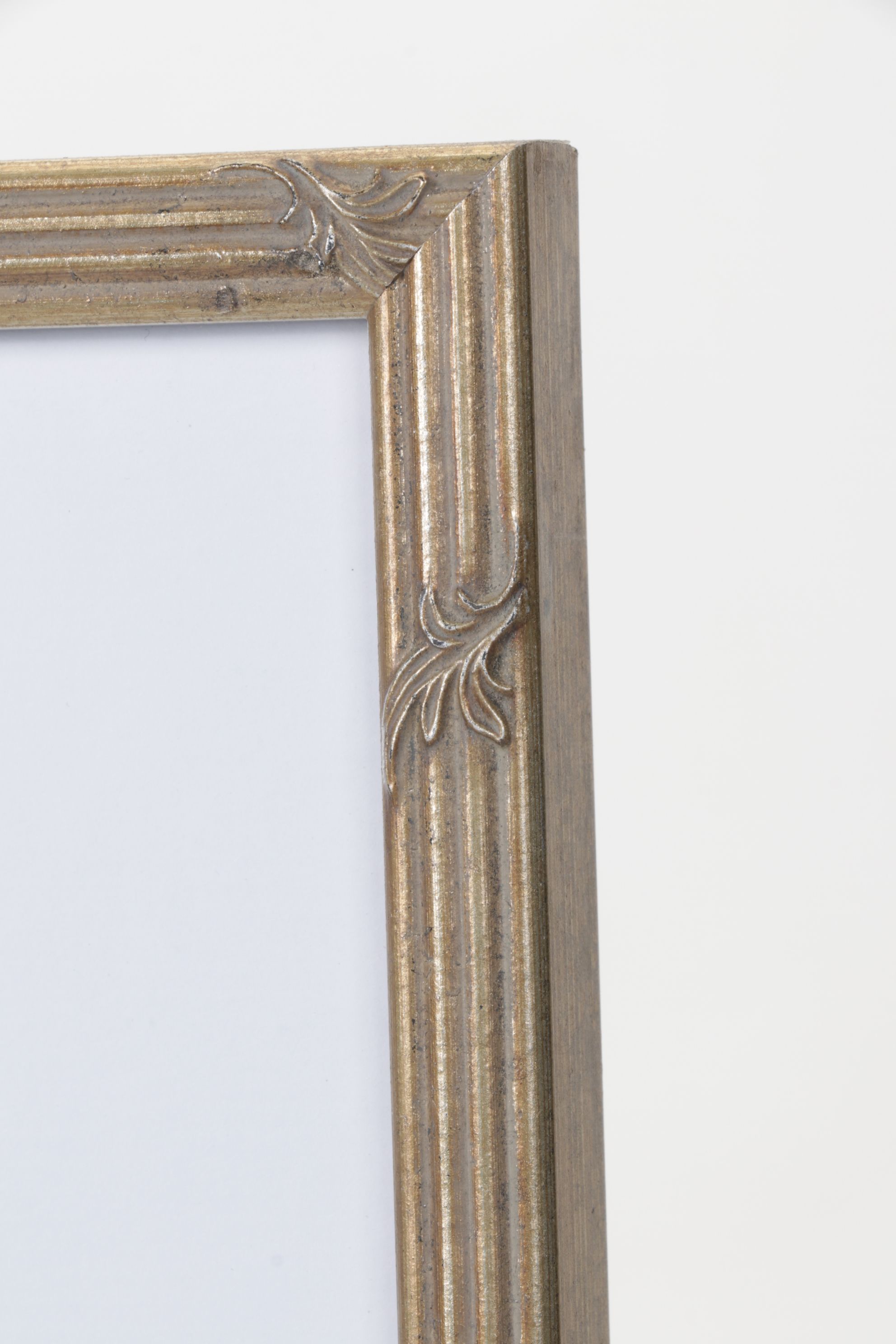 Giclée After Edward Joseph Lowe "Blechnum Cartilagineum", Late 20th Century