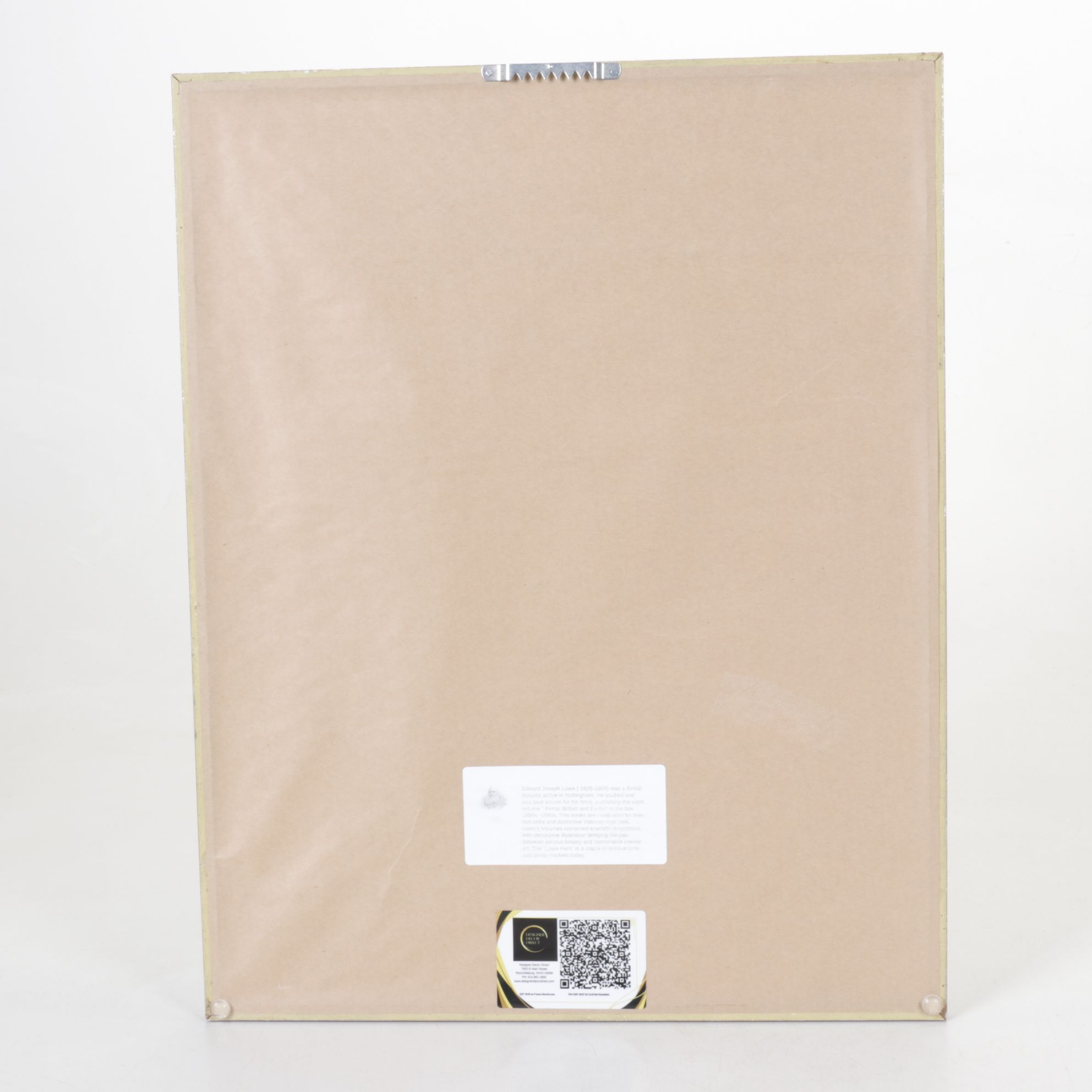 Giclée After Edward Joseph Lowe "Blechnum Cartilagineum", Late 20th Century