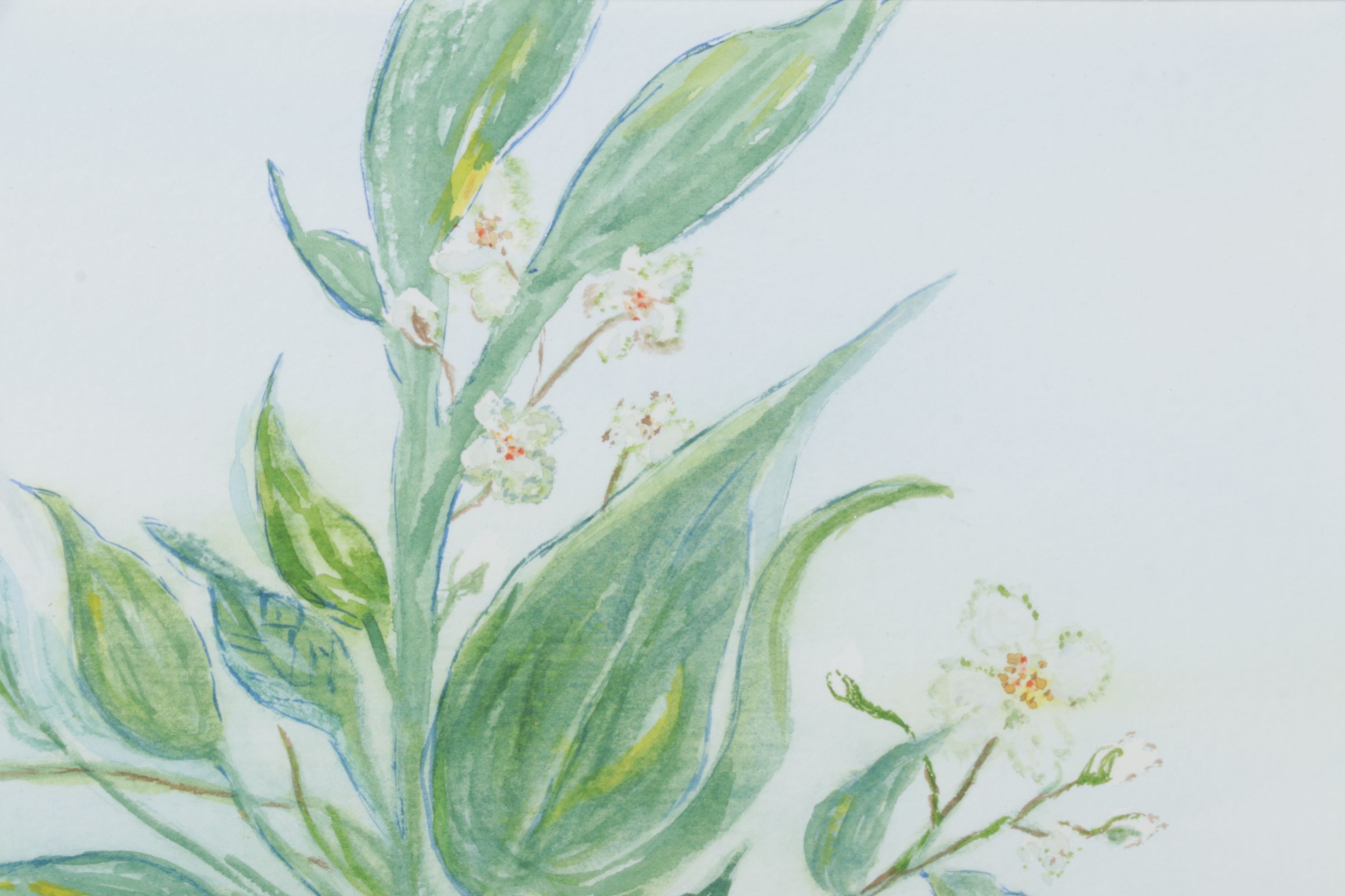 Lorraine L. Reeves Floral Watercolor Still Life Painting of Potted Plant, 1996