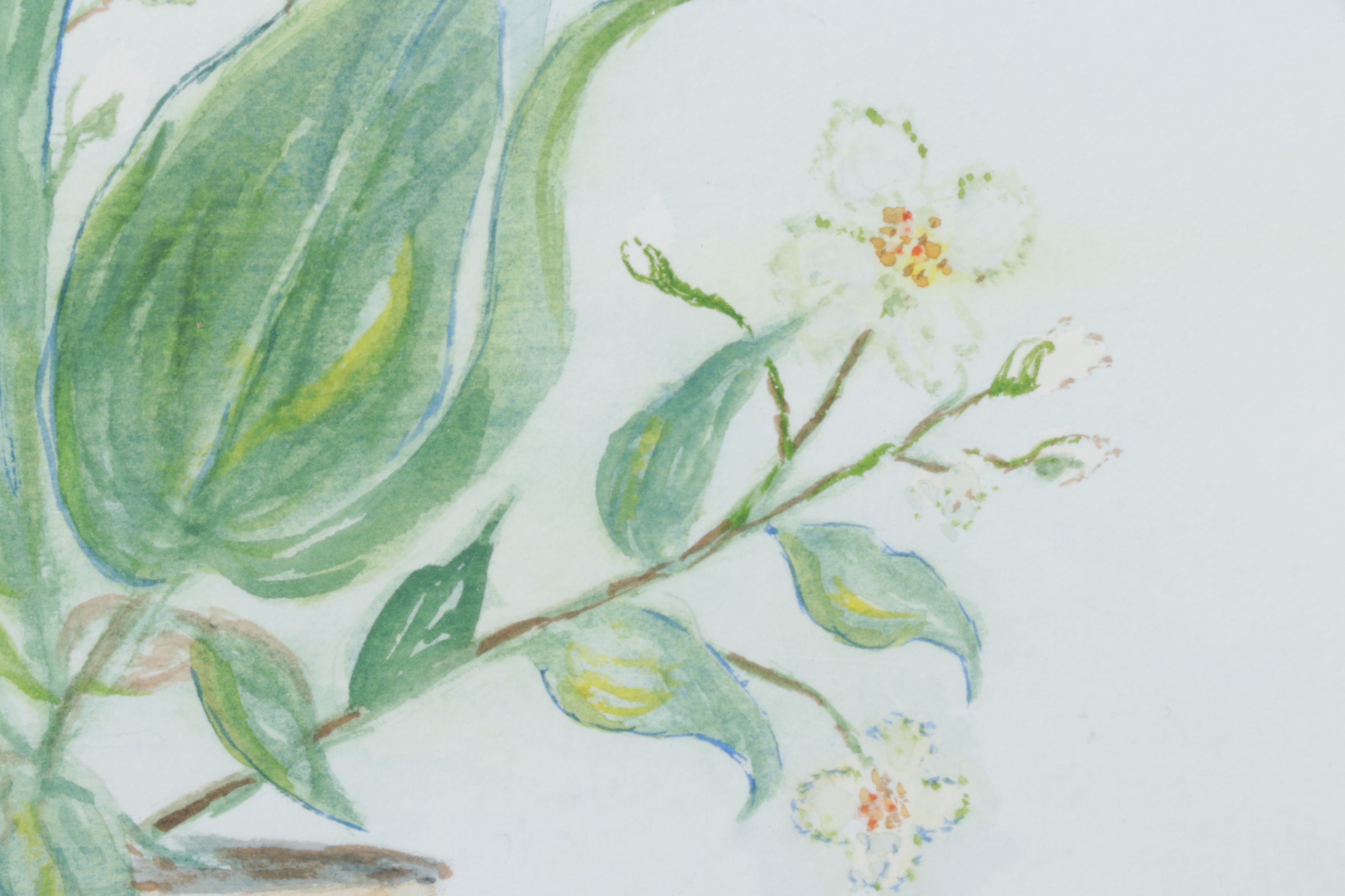 Lorraine L. Reeves Floral Watercolor Still Life Painting of Potted Plant, 1996