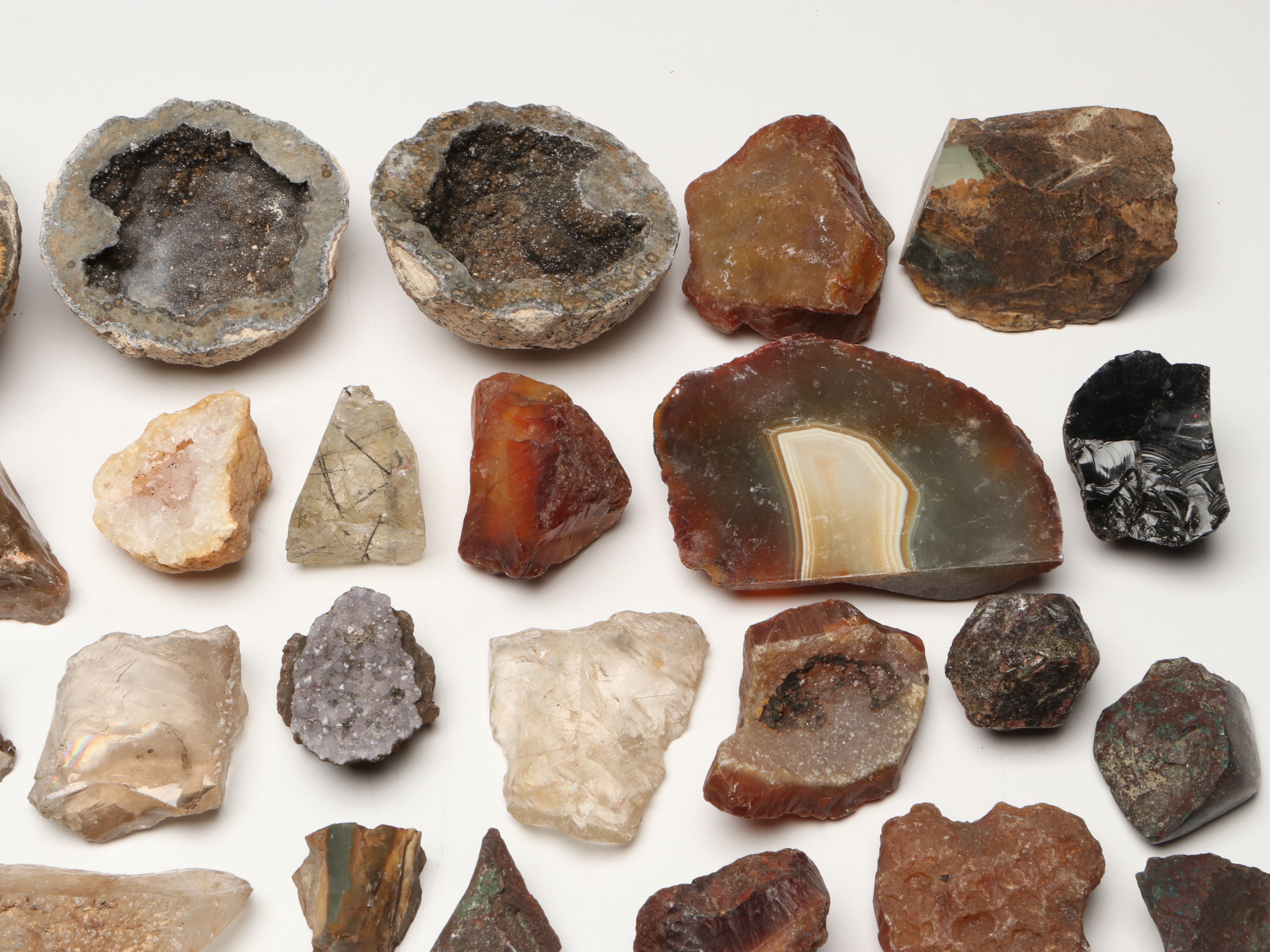 Fossil Rugose Horn Corals, Amethyst Geodes, Redwood Fossil in Shale