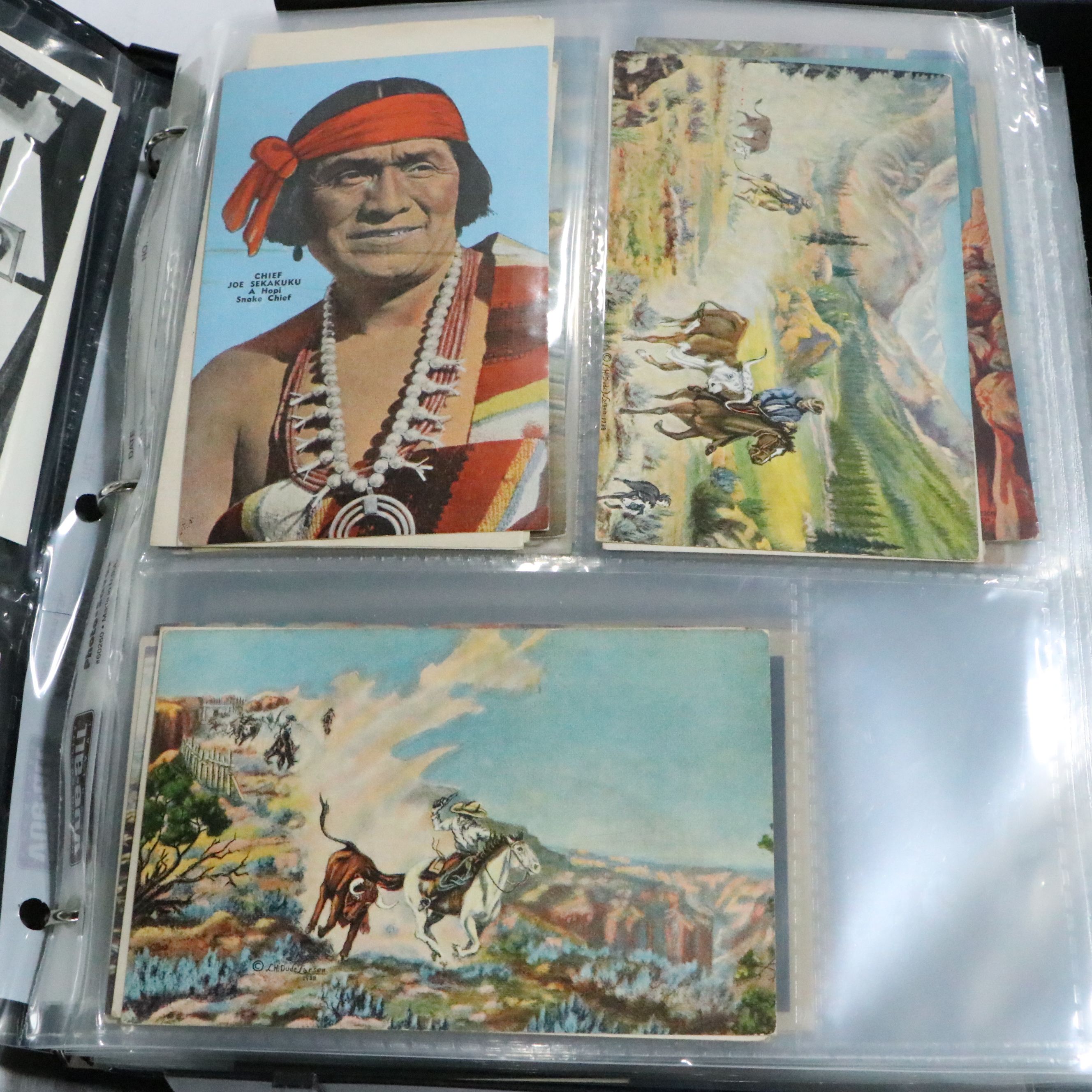 L.H "Dude" Larsen Western Themed with More Antique and Vintage Postcards