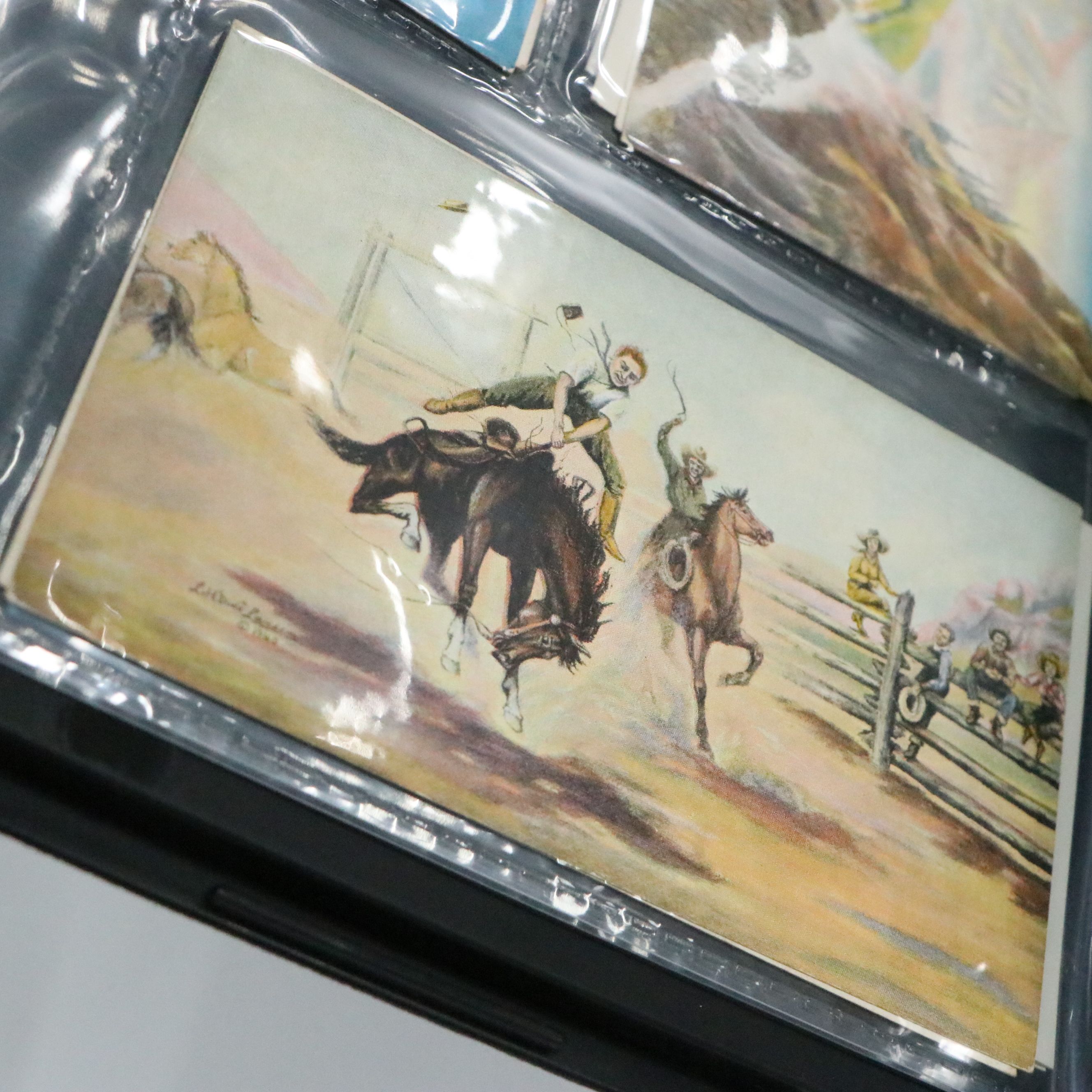 L.H "Dude" Larsen Western Themed with More Antique and Vintage Postcards