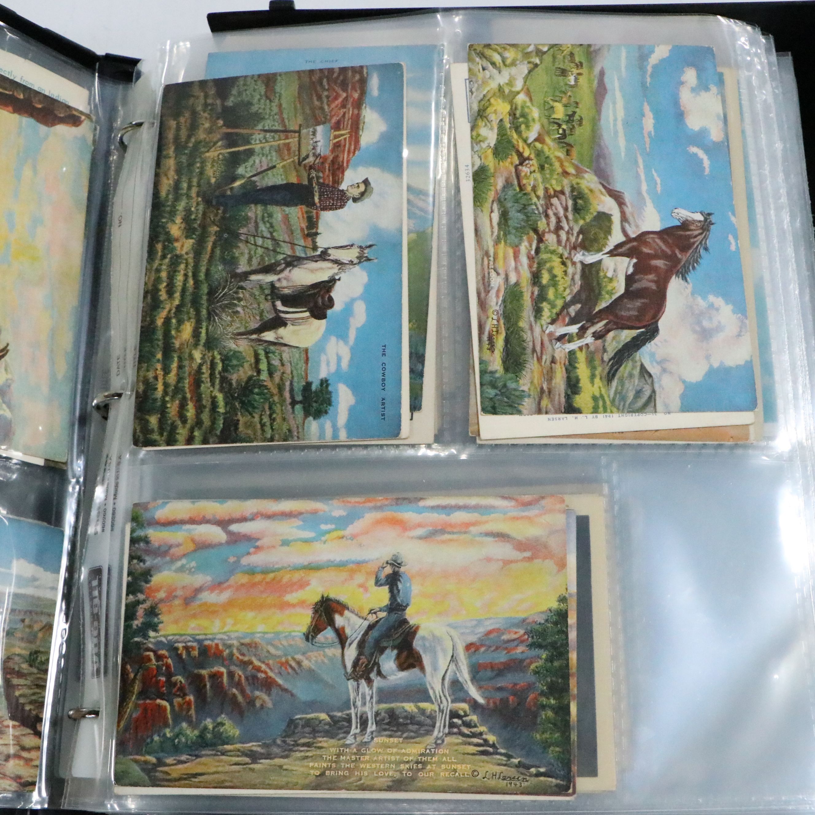 L.H "Dude" Larsen Western Themed with More Antique and Vintage Postcards