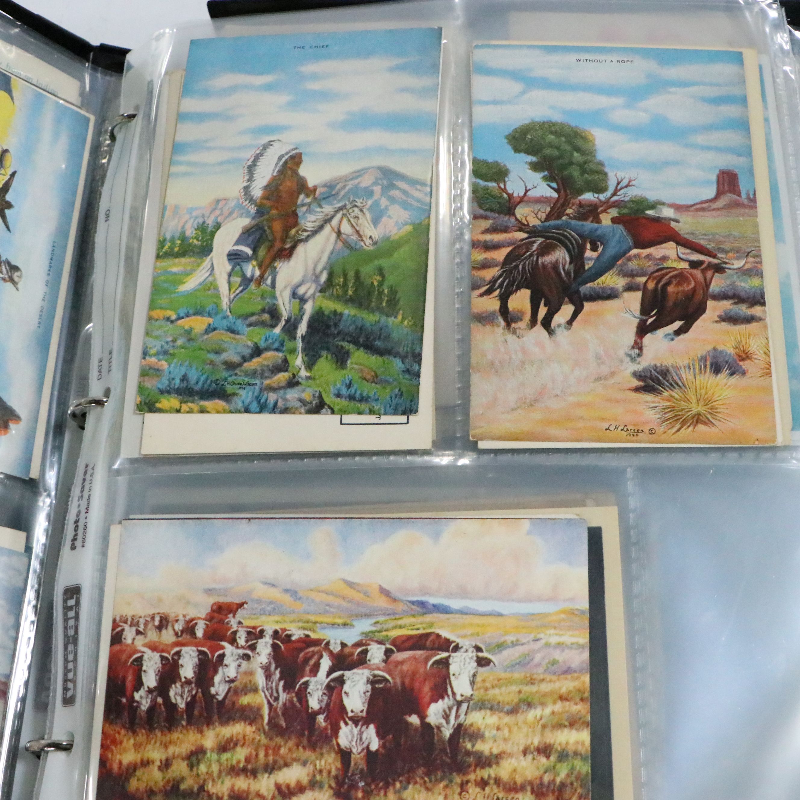 L.H "Dude" Larsen Western Themed with More Antique and Vintage Postcards