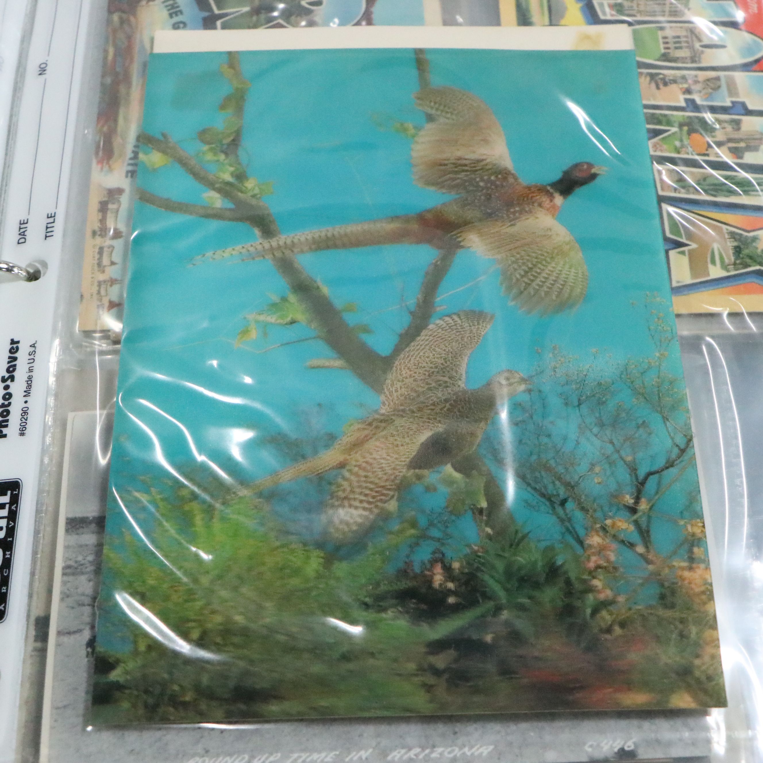 L.H "Dude" Larsen Western Themed with More Antique and Vintage Postcards