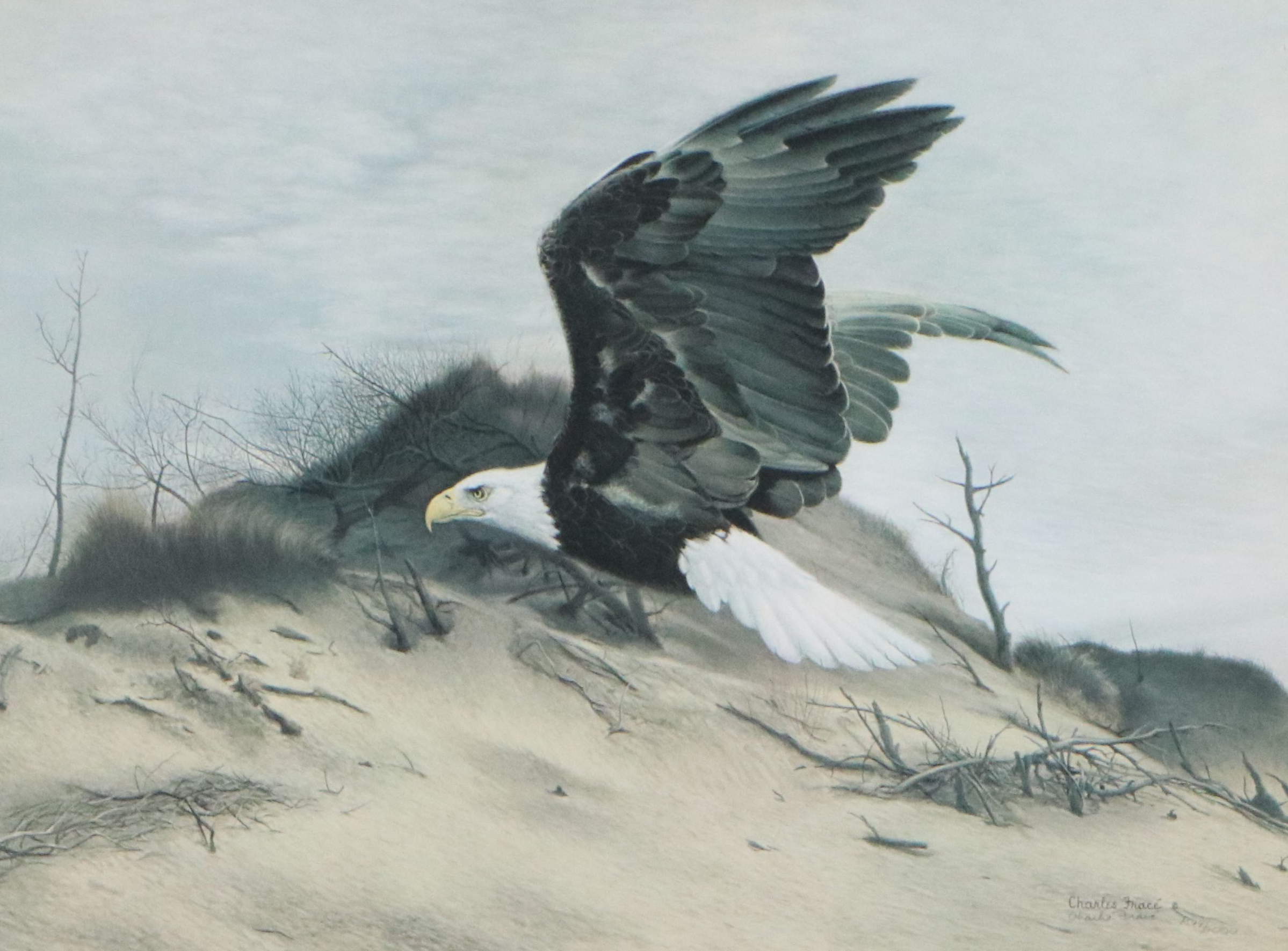 Charles Frace Offset Lithograph "American Eagle at Walking Dunes"